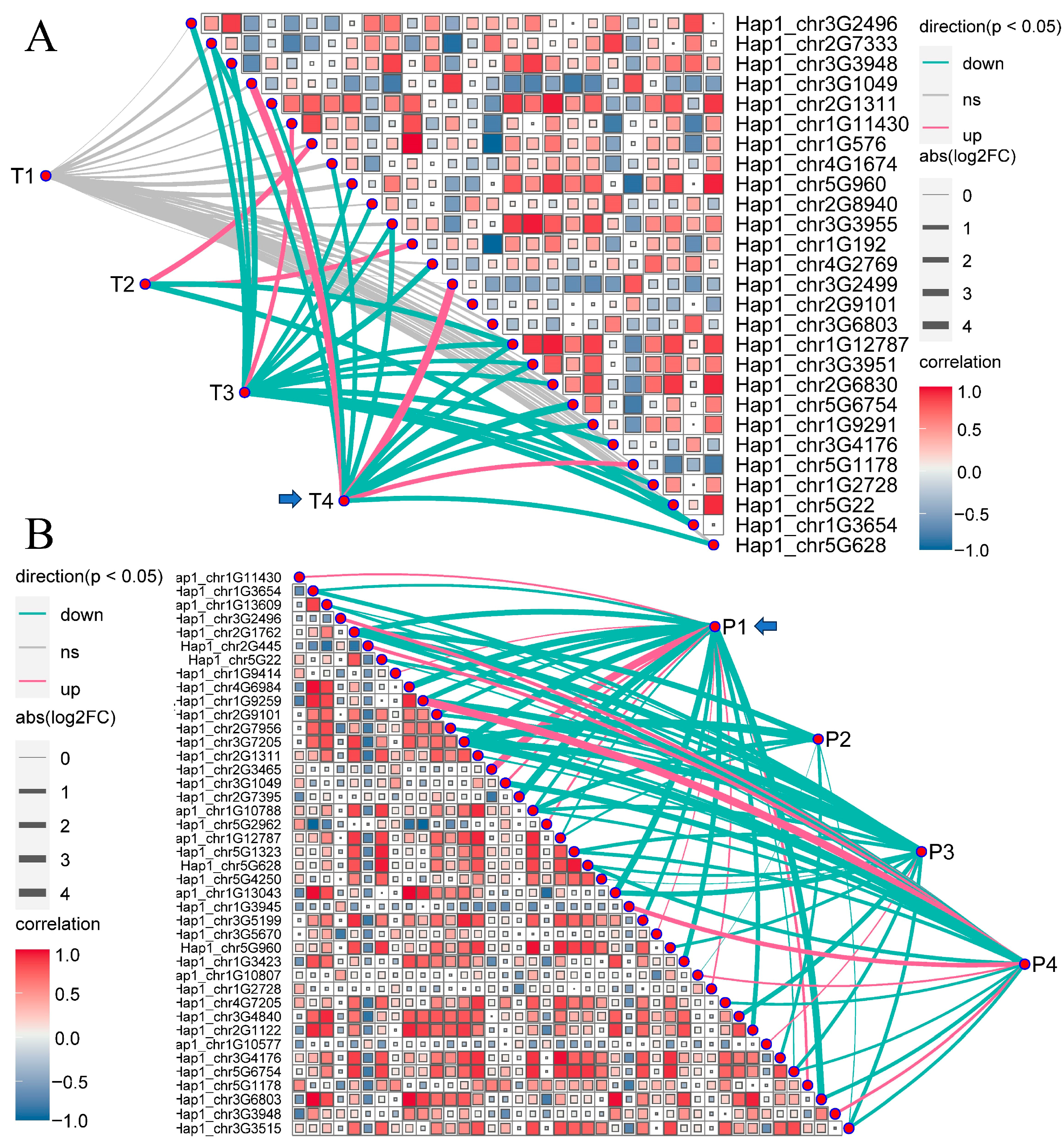 Horticulturae 12 00102 g004