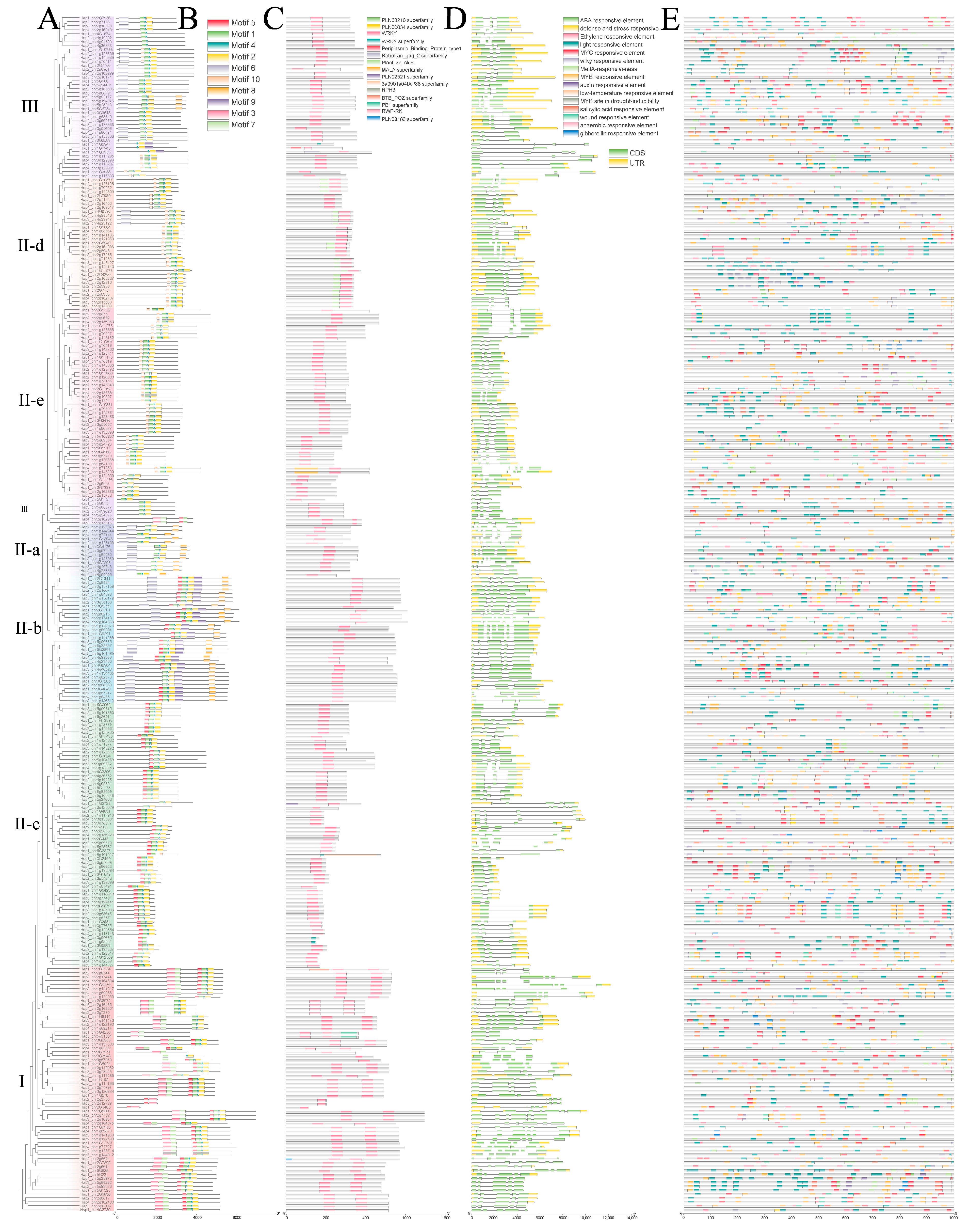 Horticulturae 12 00102 g0a1