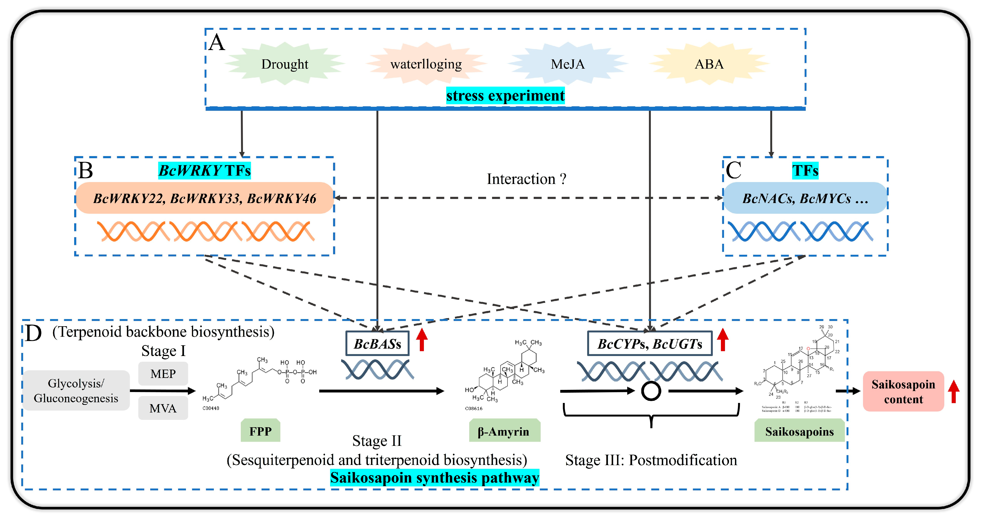 Horticulturae 12 00102 g0a5