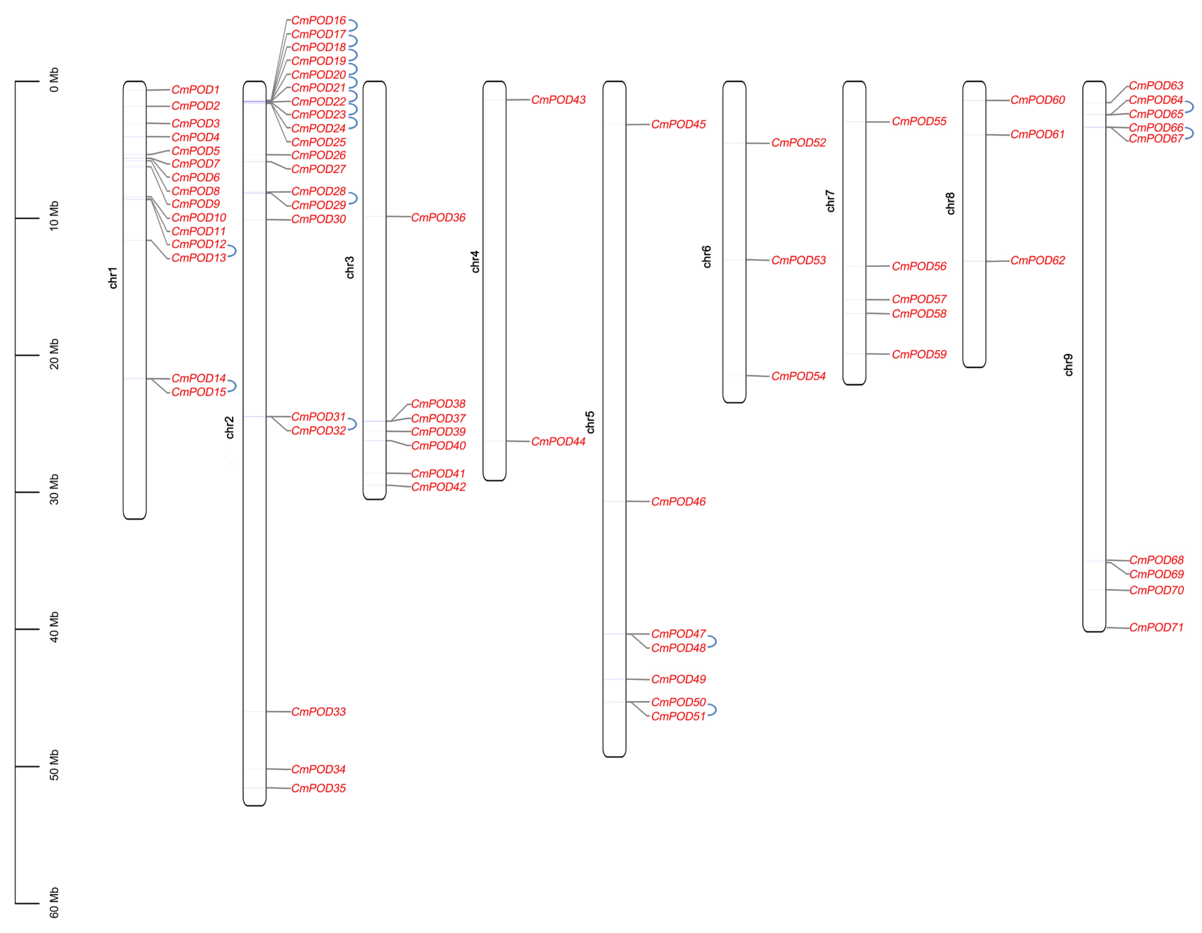 Horticulturae 12 00106 g002