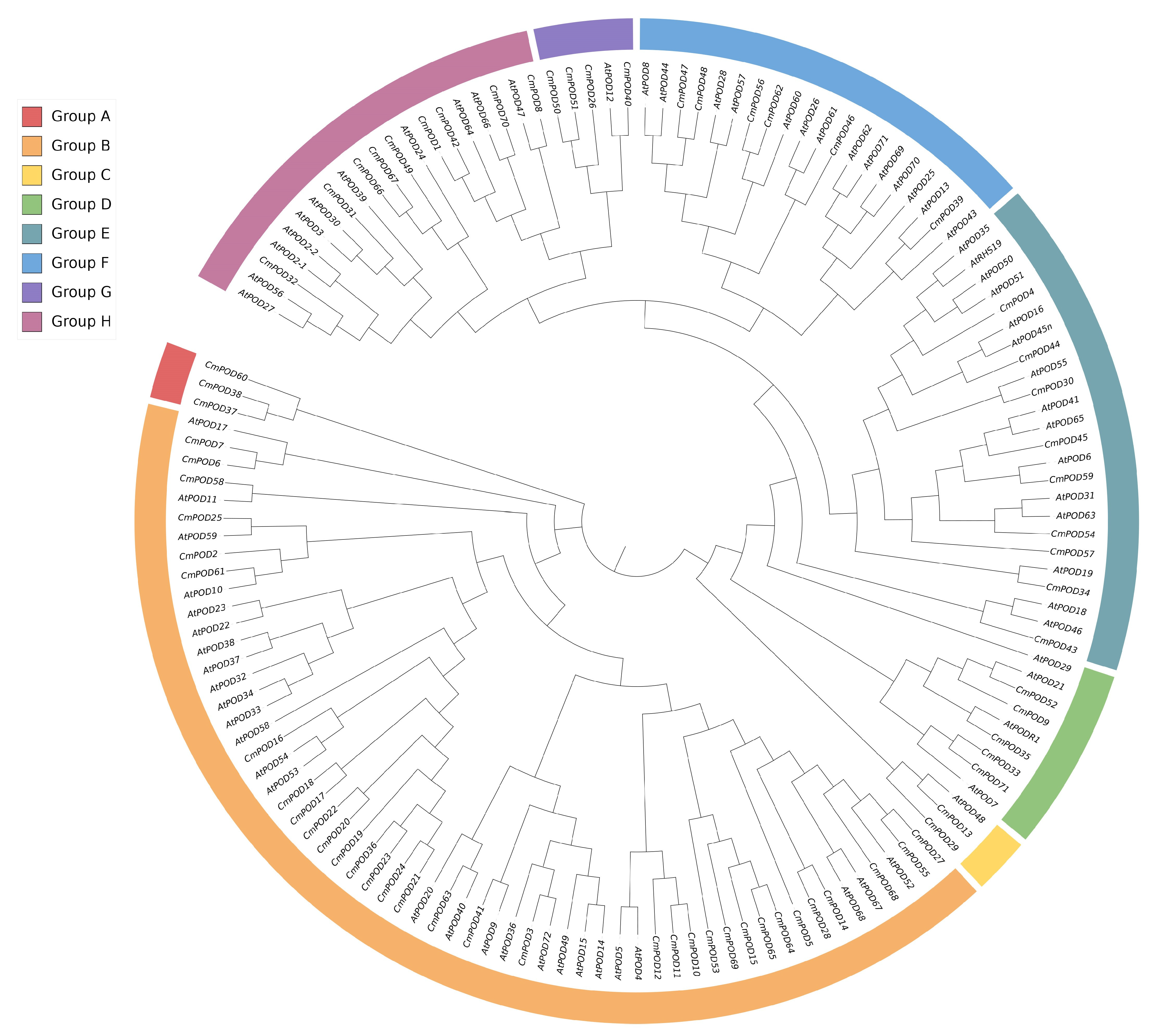 Horticulturae 12 00106 g003