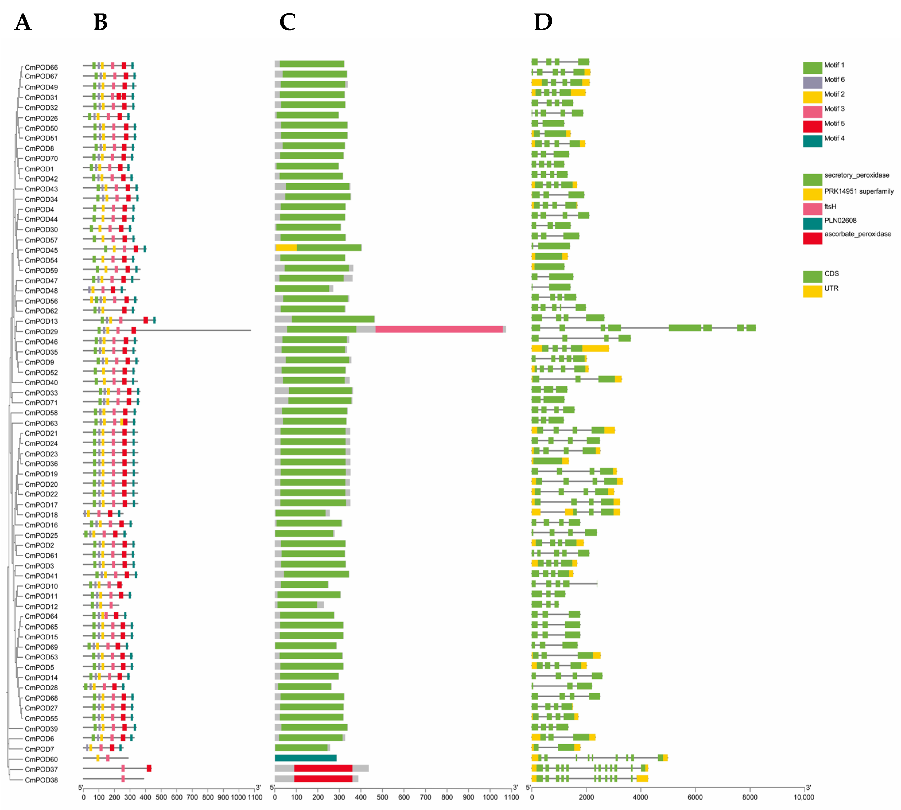Horticulturae 12 00106 g004