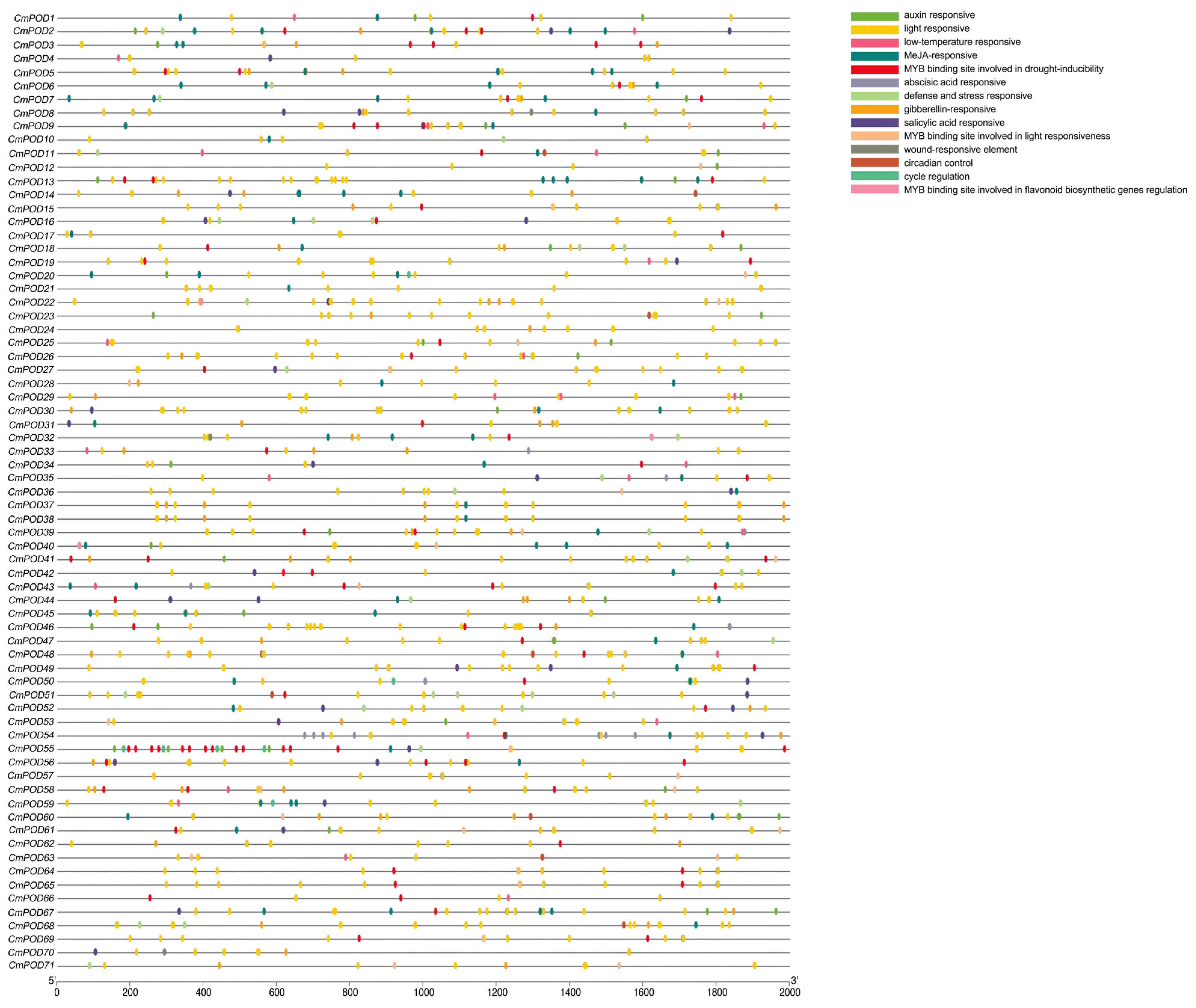 Horticulturae 12 00106 g005