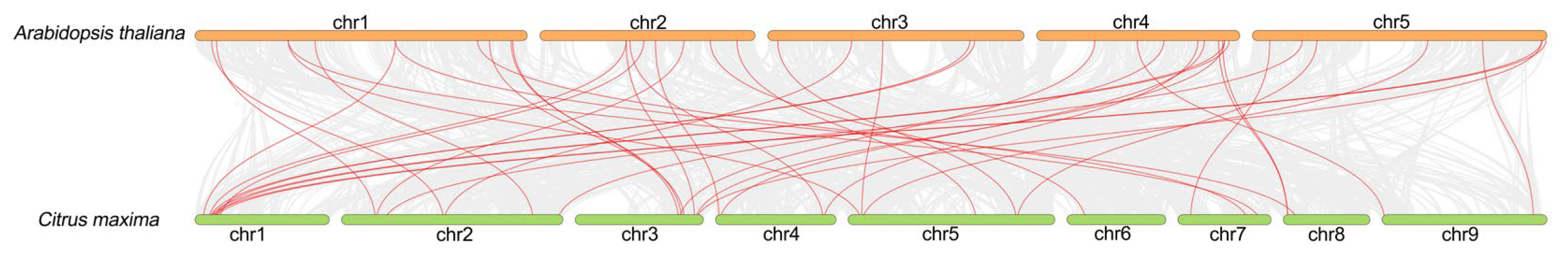 Horticulturae 12 00106 g007