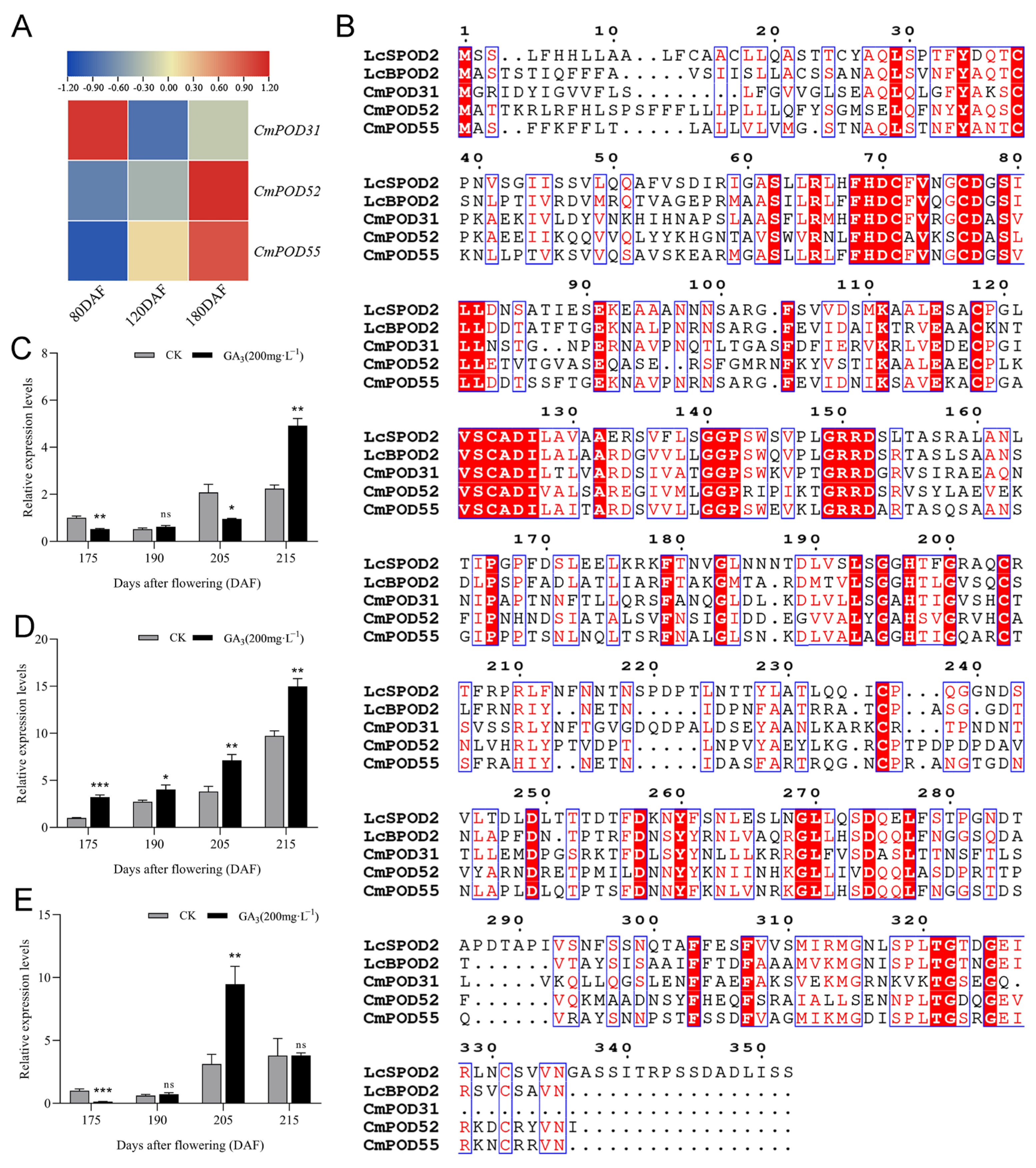 Horticulturae 12 00106 g008