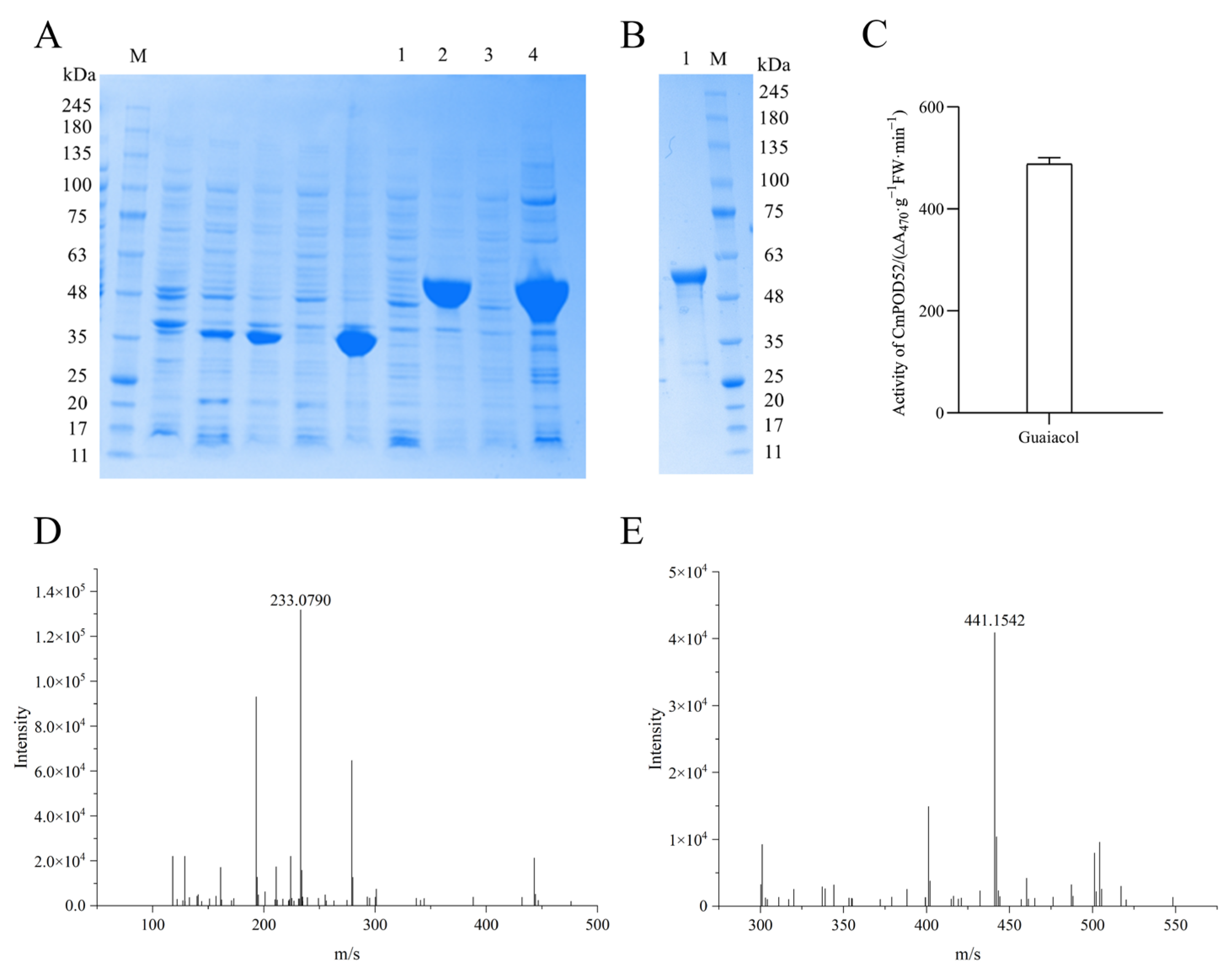 Horticulturae 12 00106 g010