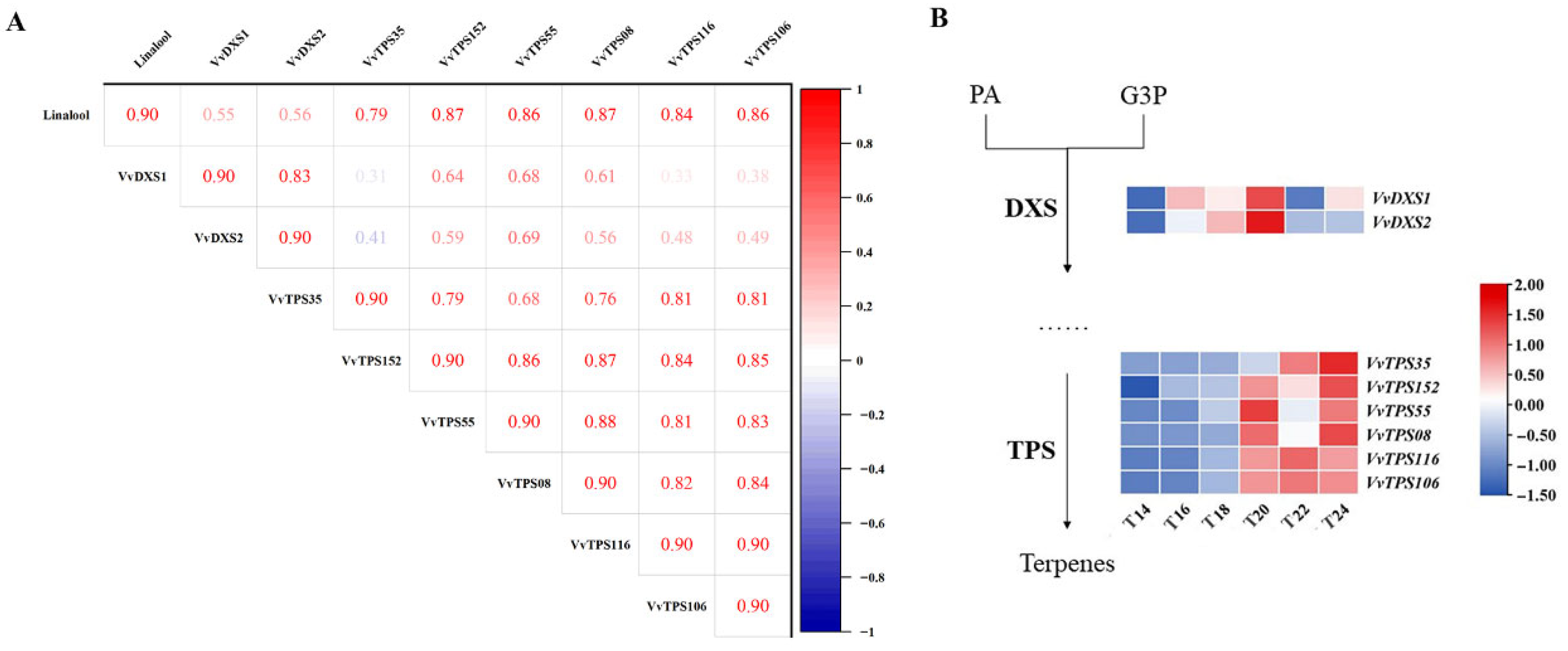 Horticulturae 12 00109 g008