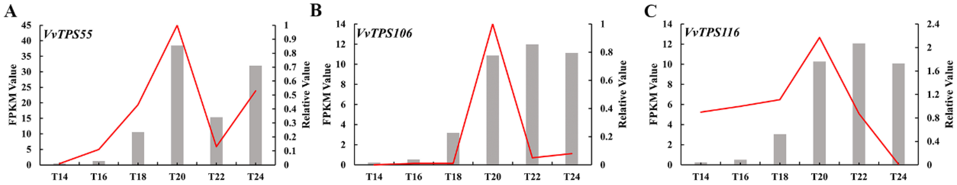 Horticulturae 12 00109 g009