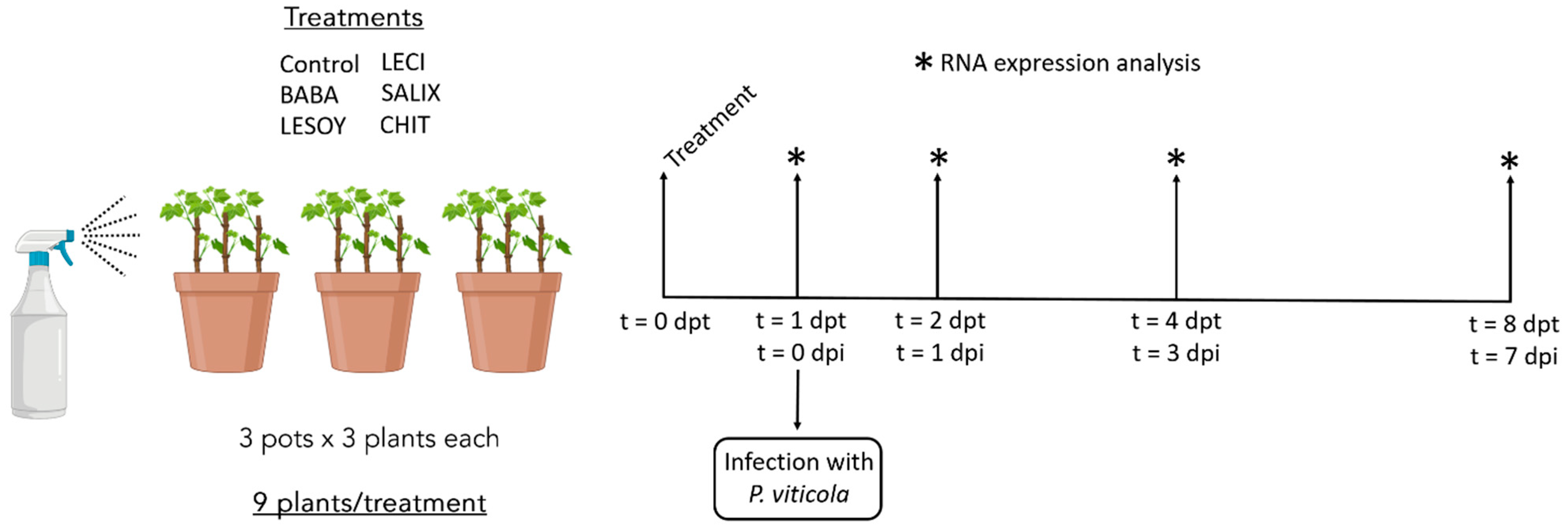Horticulturae 12 00112 g001