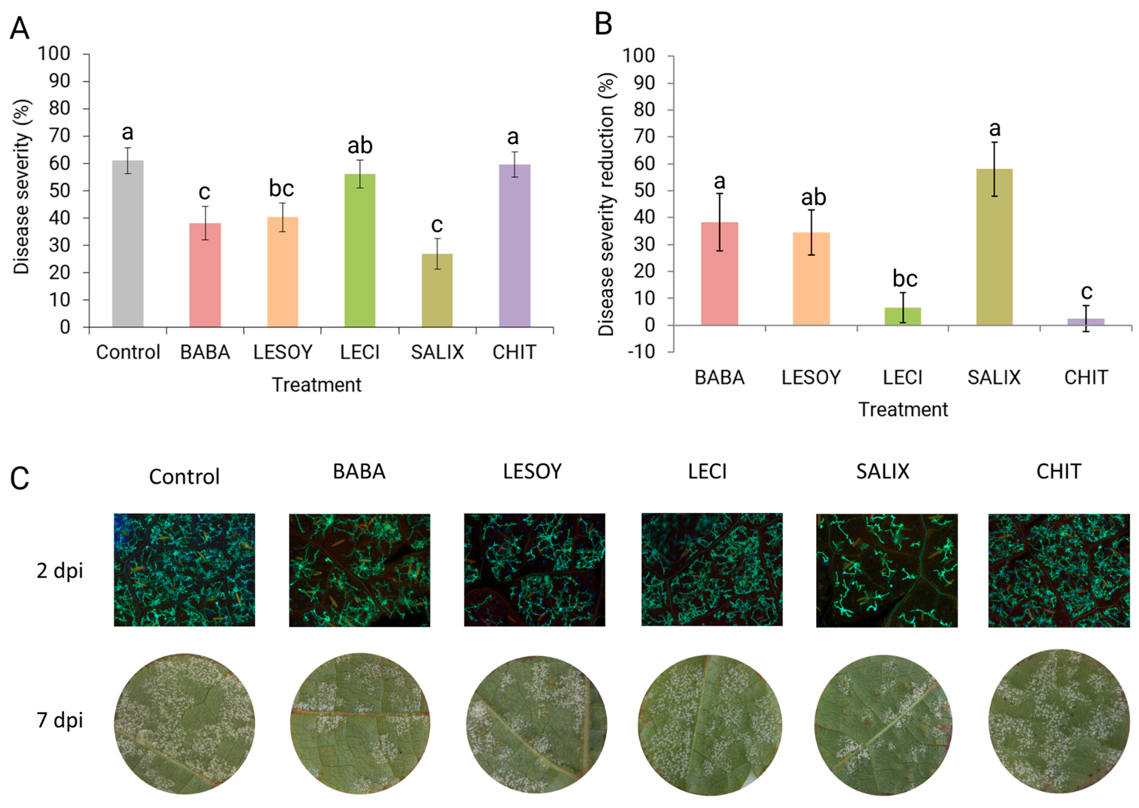 Horticulturae 12 00112 g002