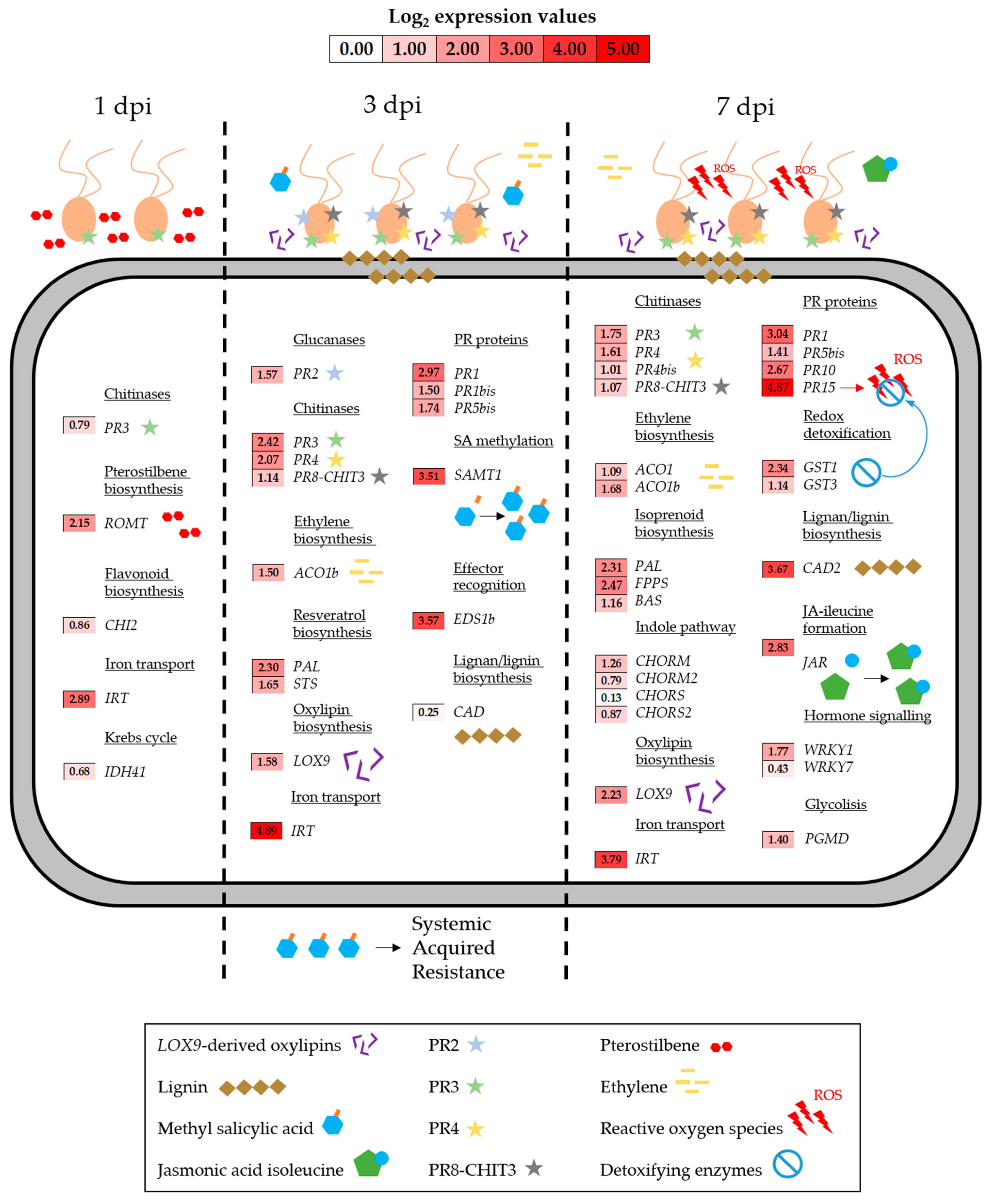 Horticulturae 12 00112 g004