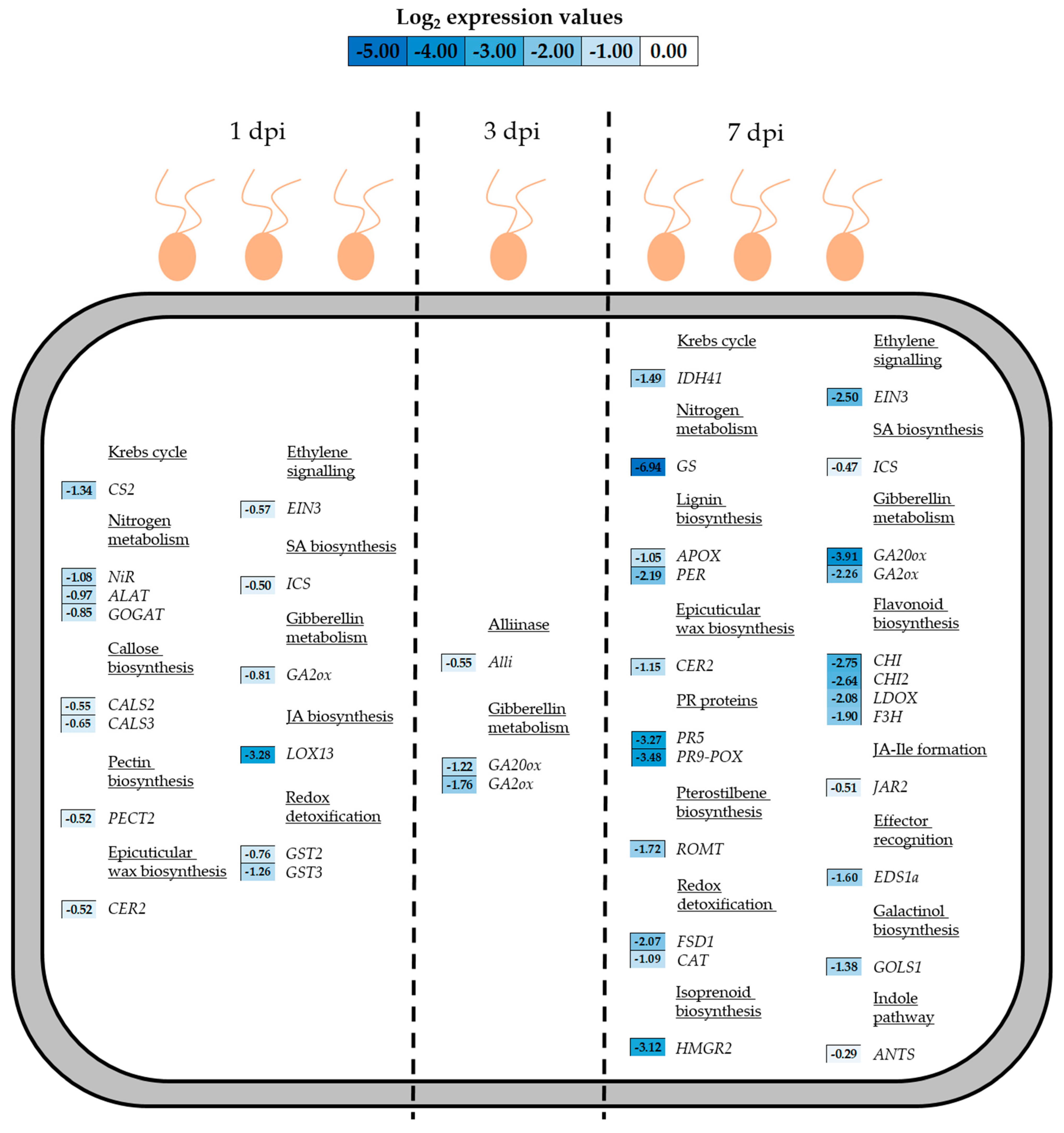 Horticulturae 12 00112 g005