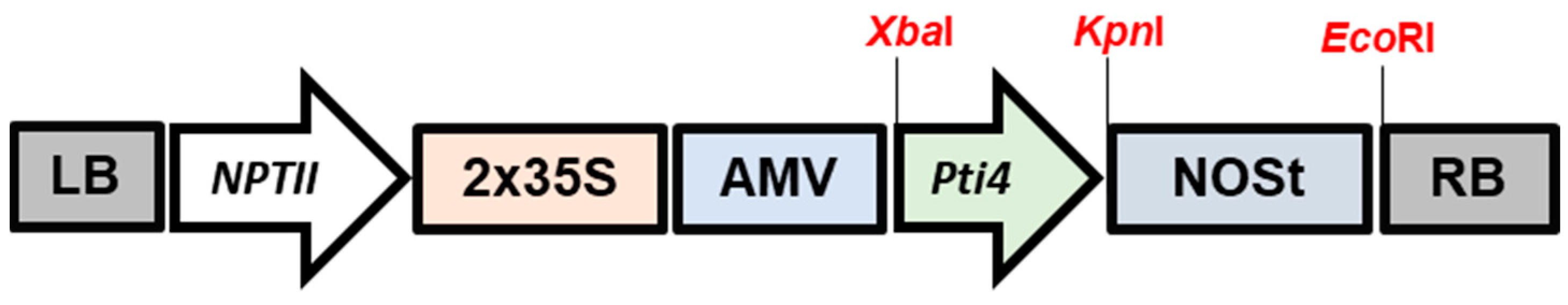 Horticulturae 12 00114 g001
