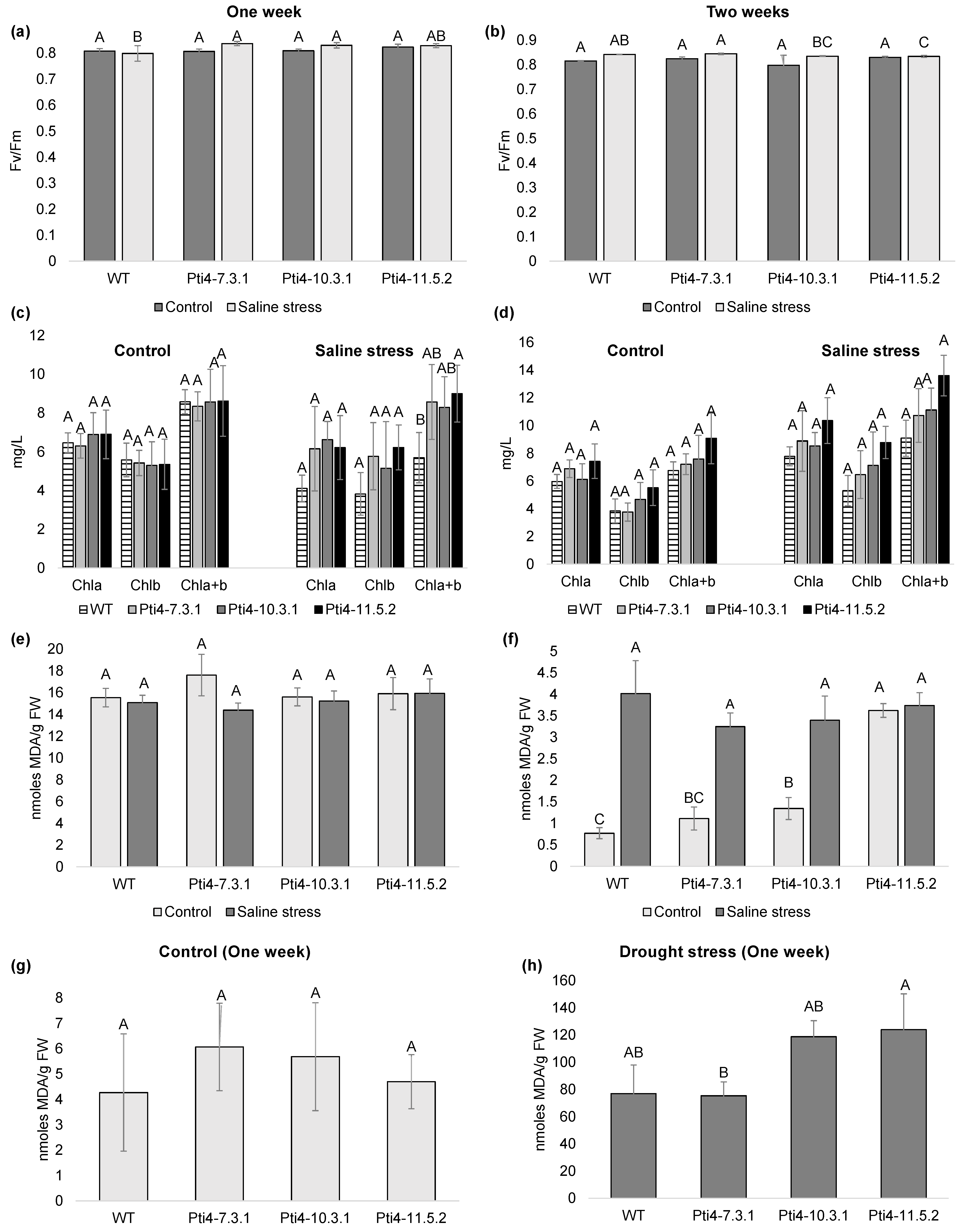 Horticulturae 12 00114 g006
