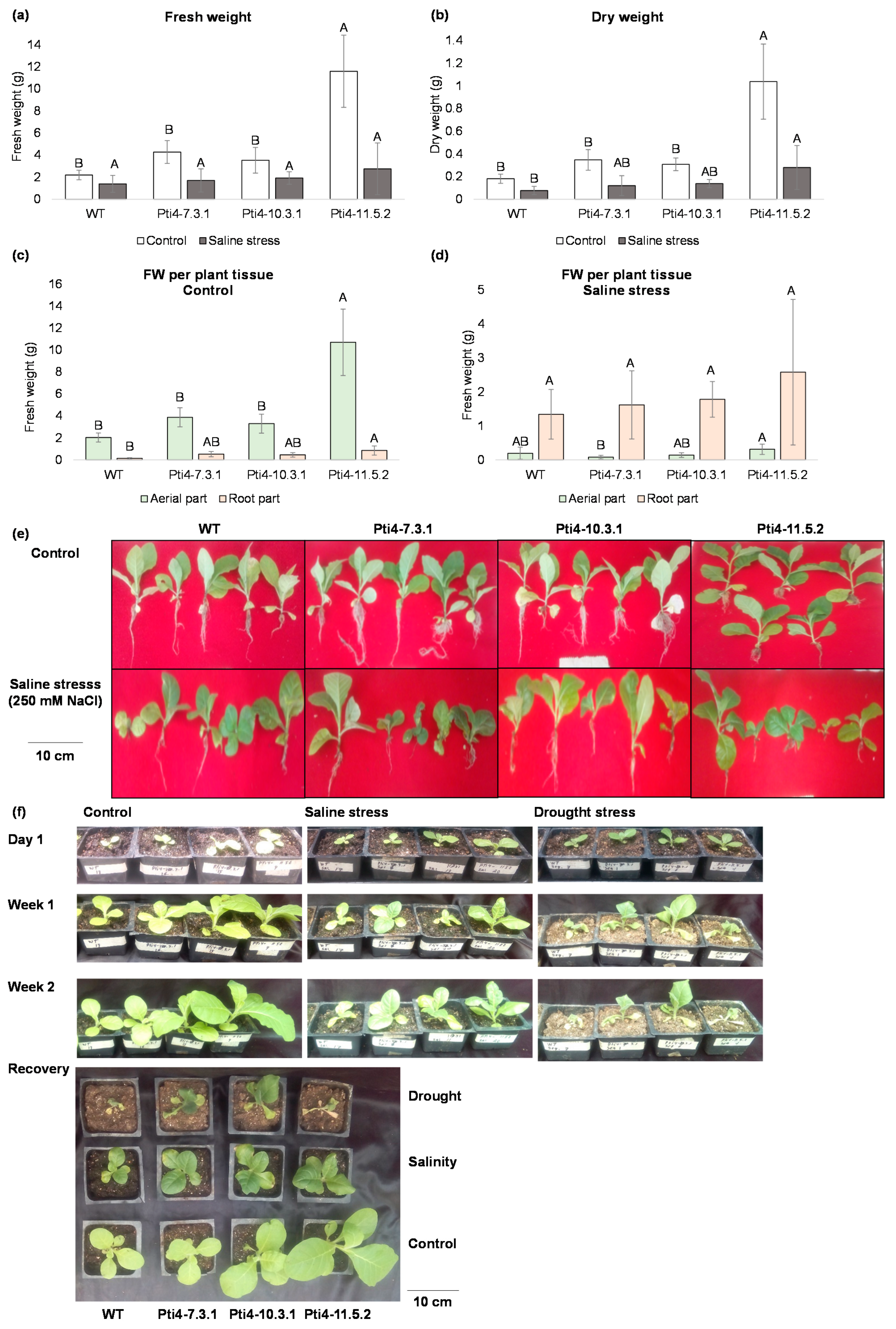 Horticulturae 12 00114 g007