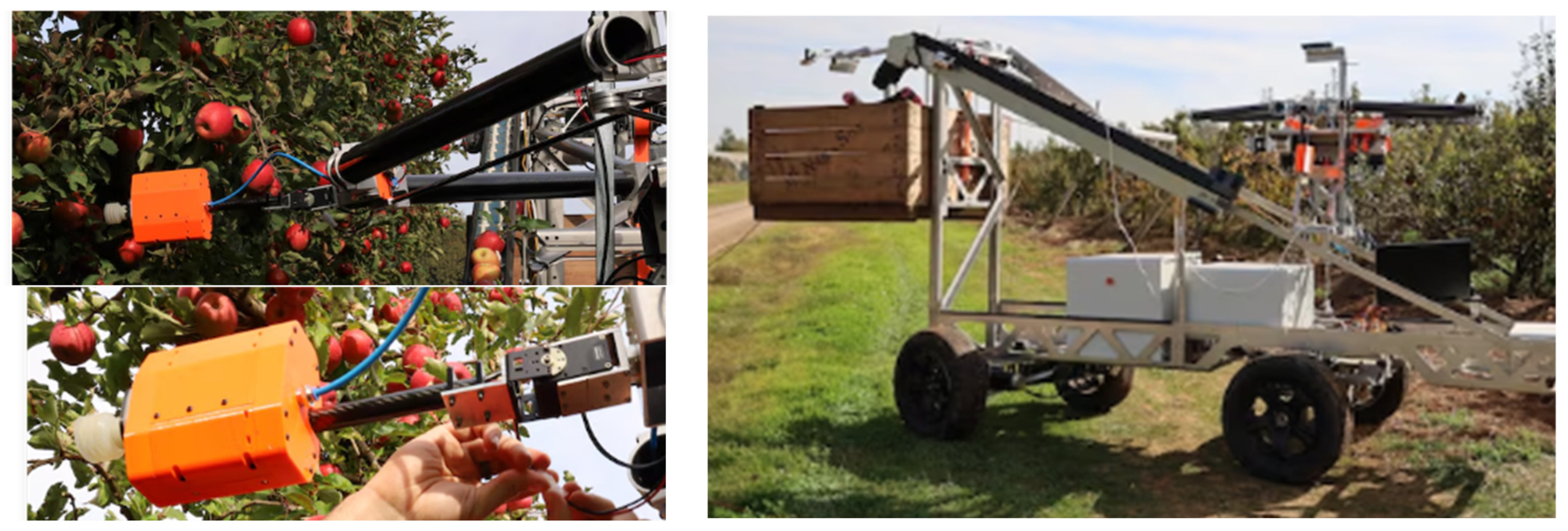 Horticulturae 12 00158 g017