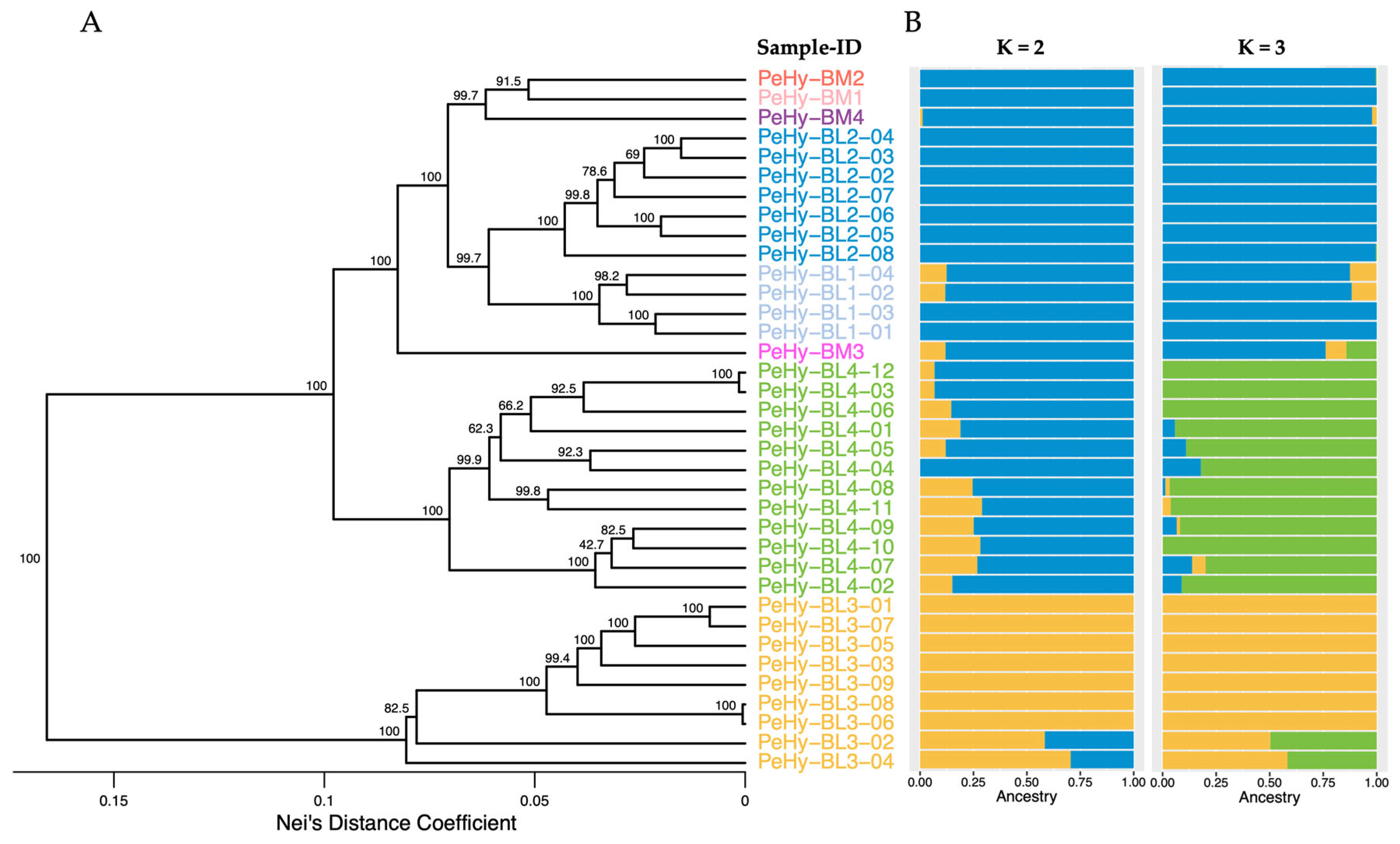 Horticulturae 12 00160 g001