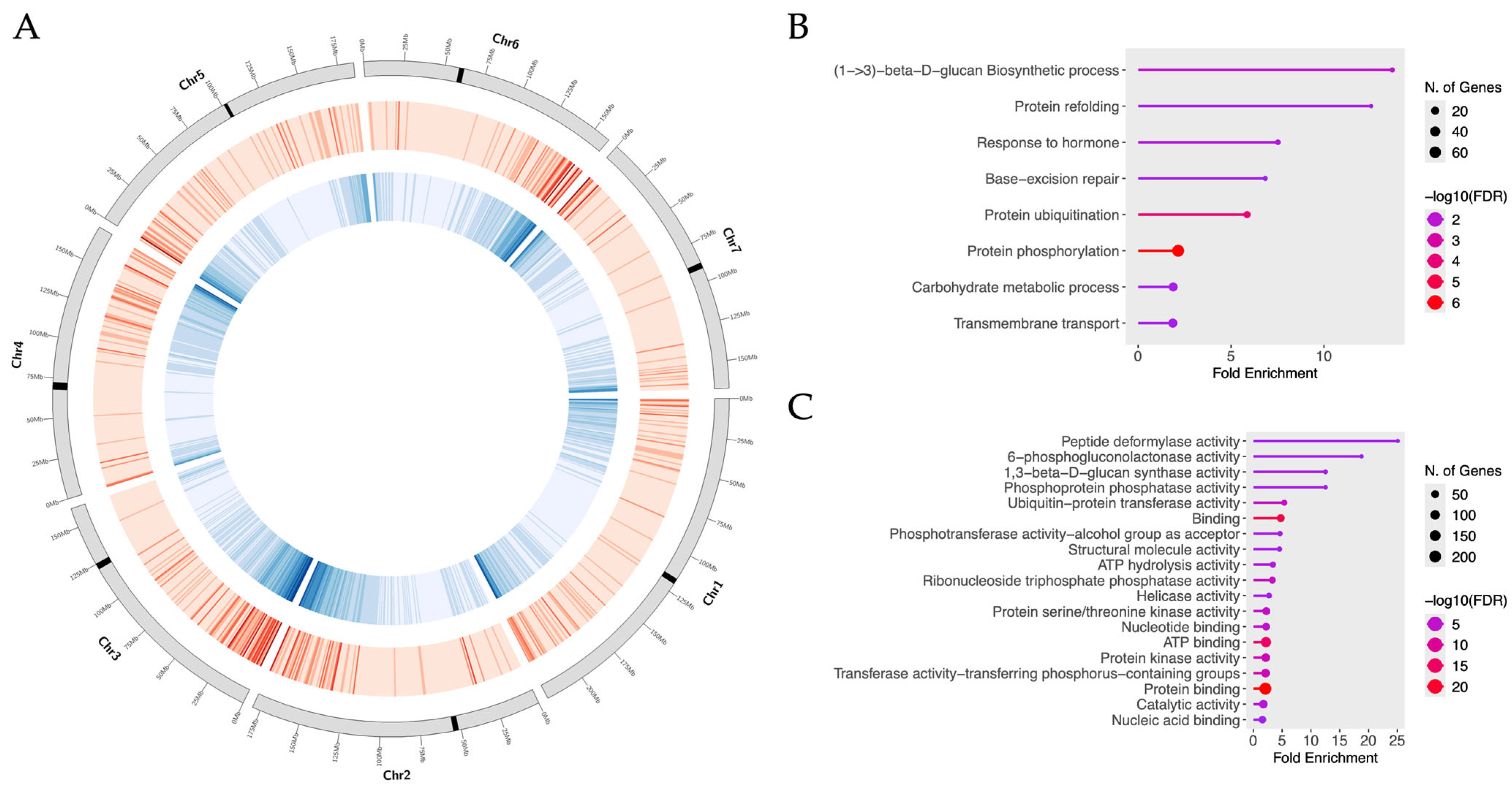 Horticulturae 12 00160 g004