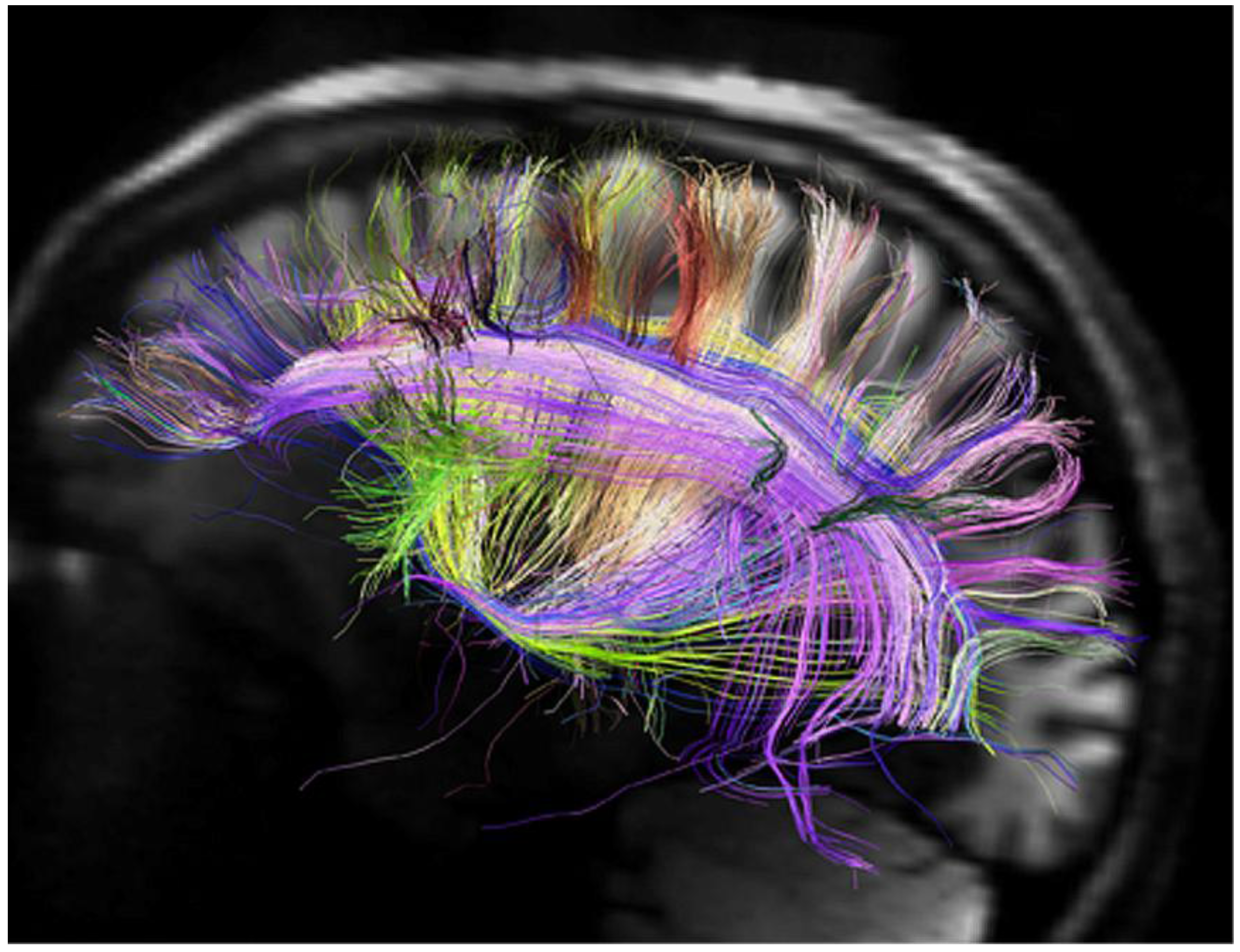 Humanities 02 00020 g001