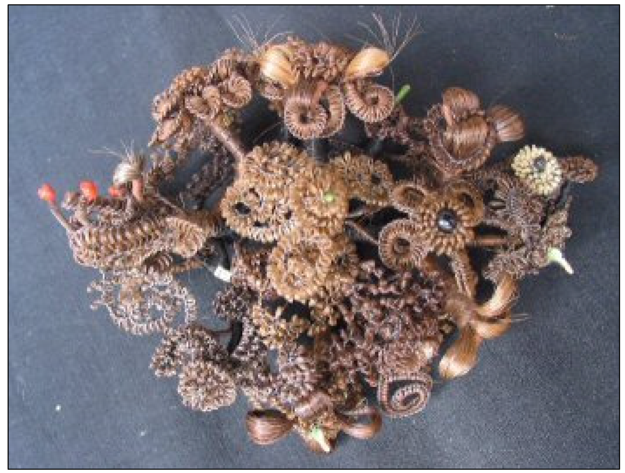 Humanities 04 00334 g001 1024