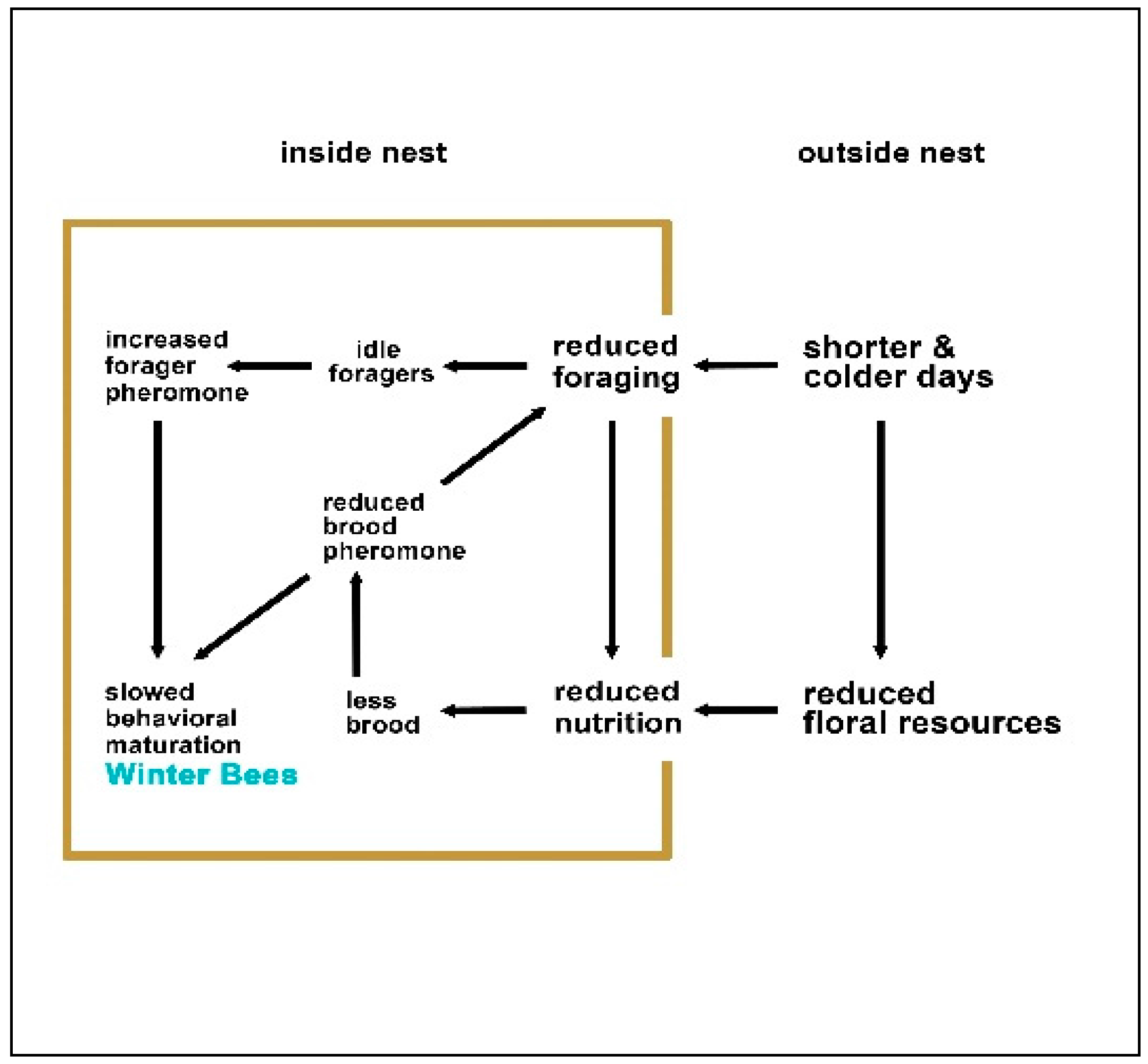 Humanities 06 00039 g001 550