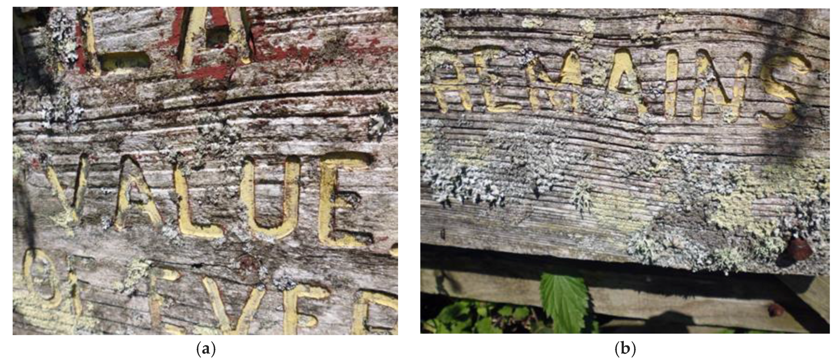 Humanities 06 00051 g007 550