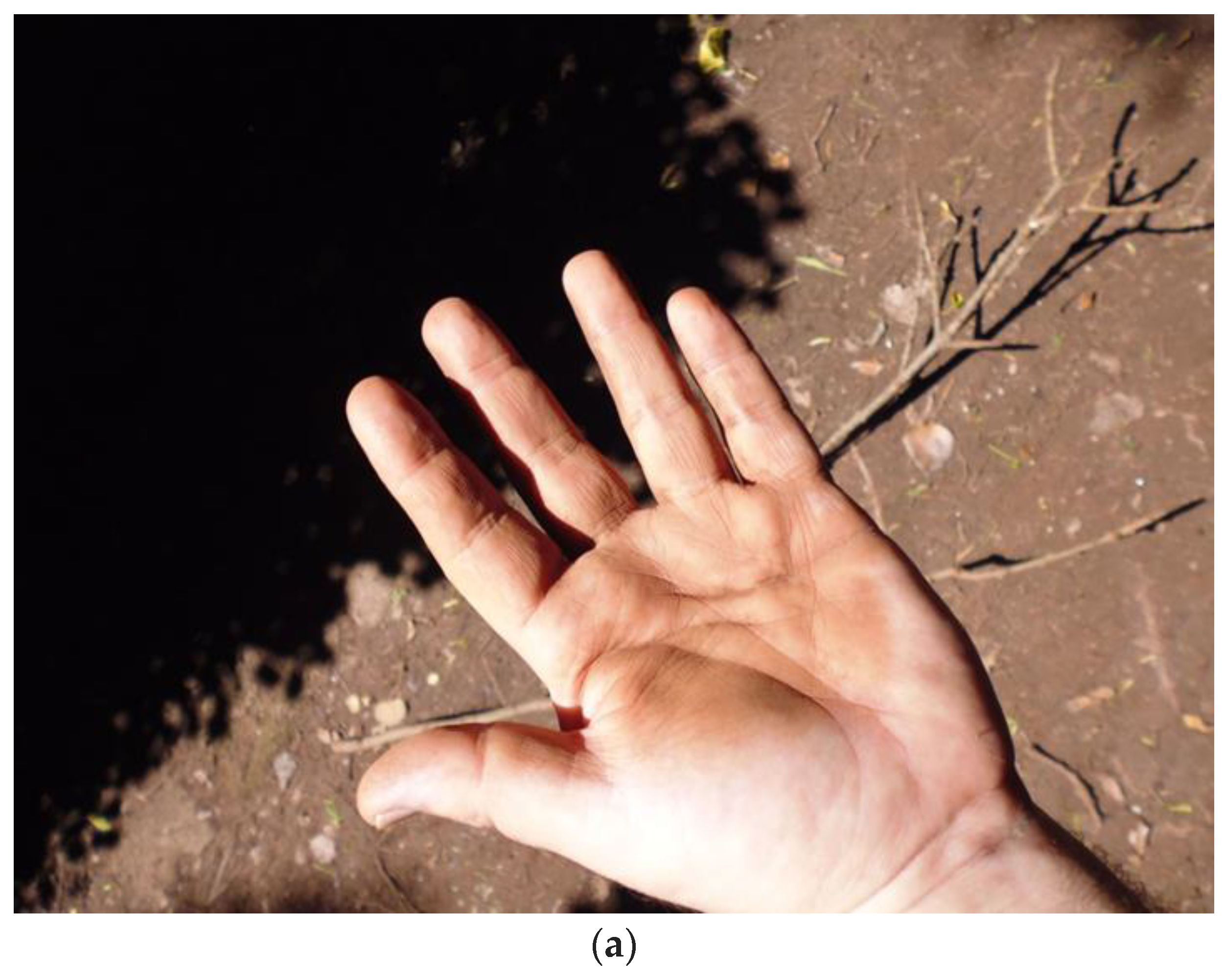 Humanities 06 00051 g008a 550