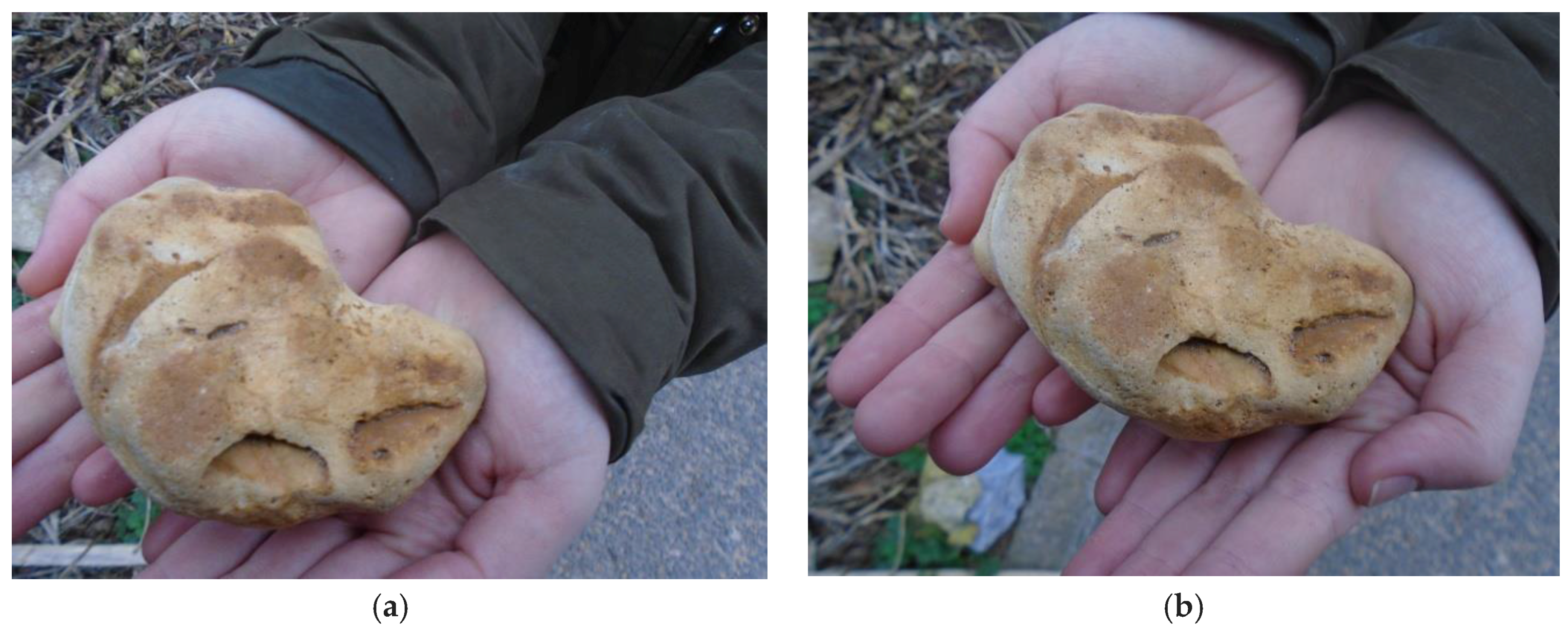 Humanities 06 00051 g017 550