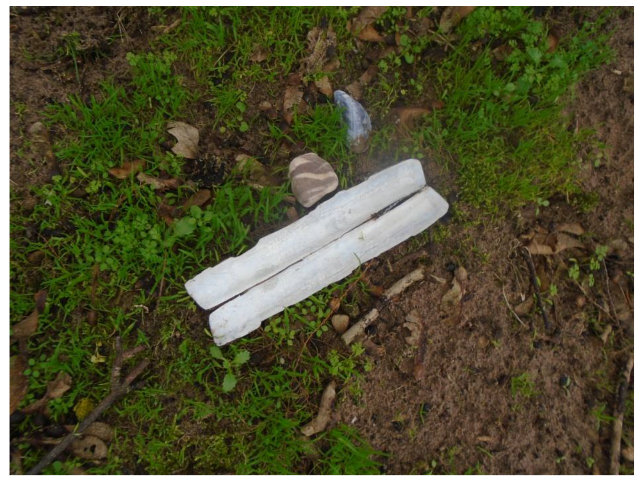 Humanities 06 00051 g018 550