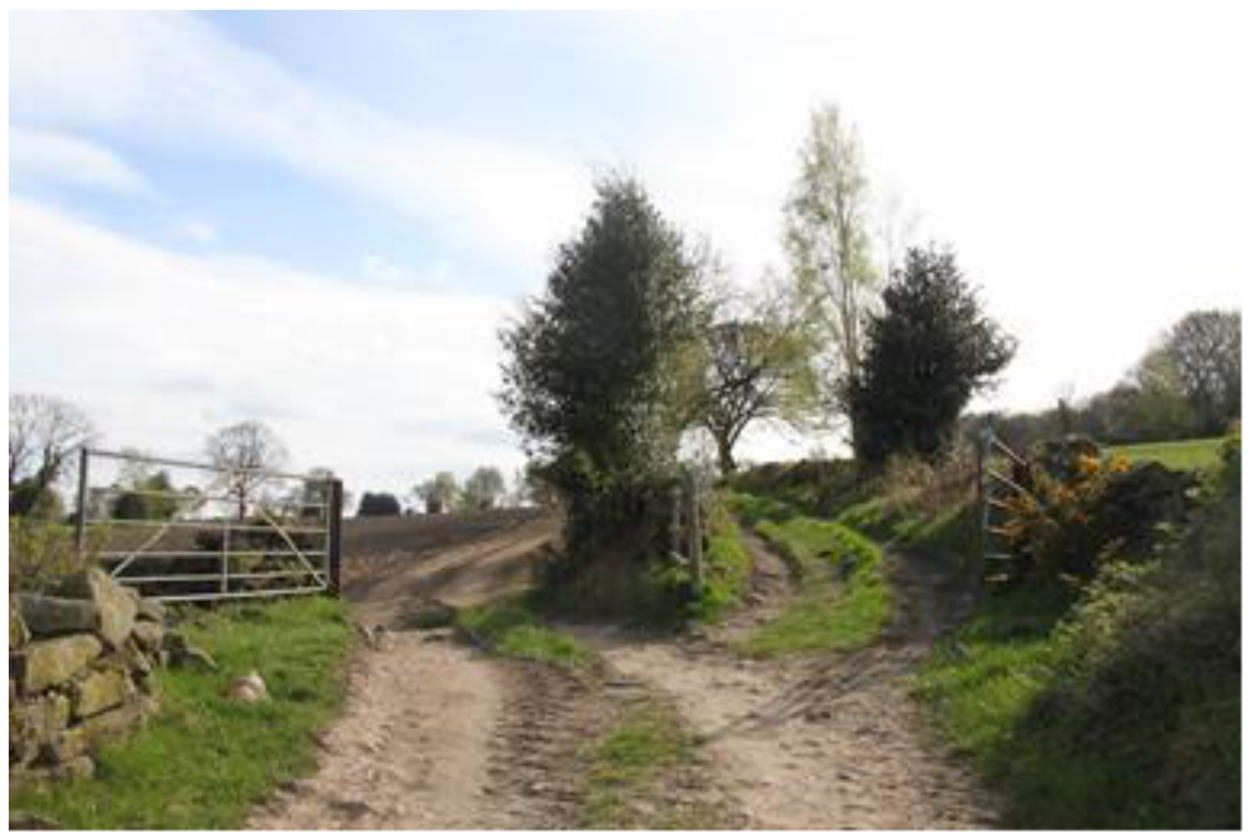 Humanities 06 00069 g003 550