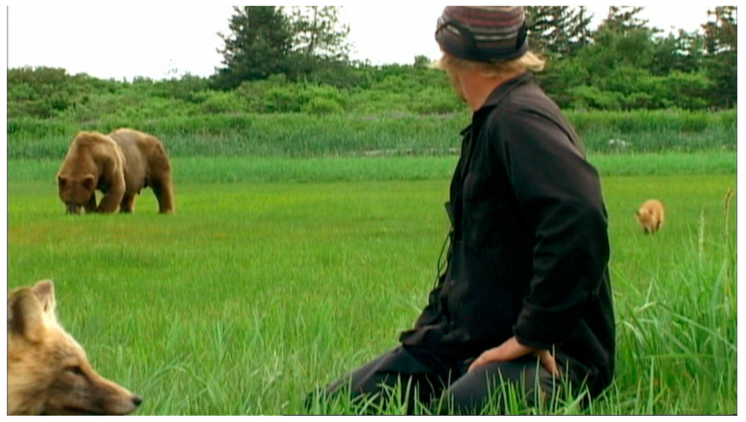 Secrets Timothy Treadwell Took To His Grave