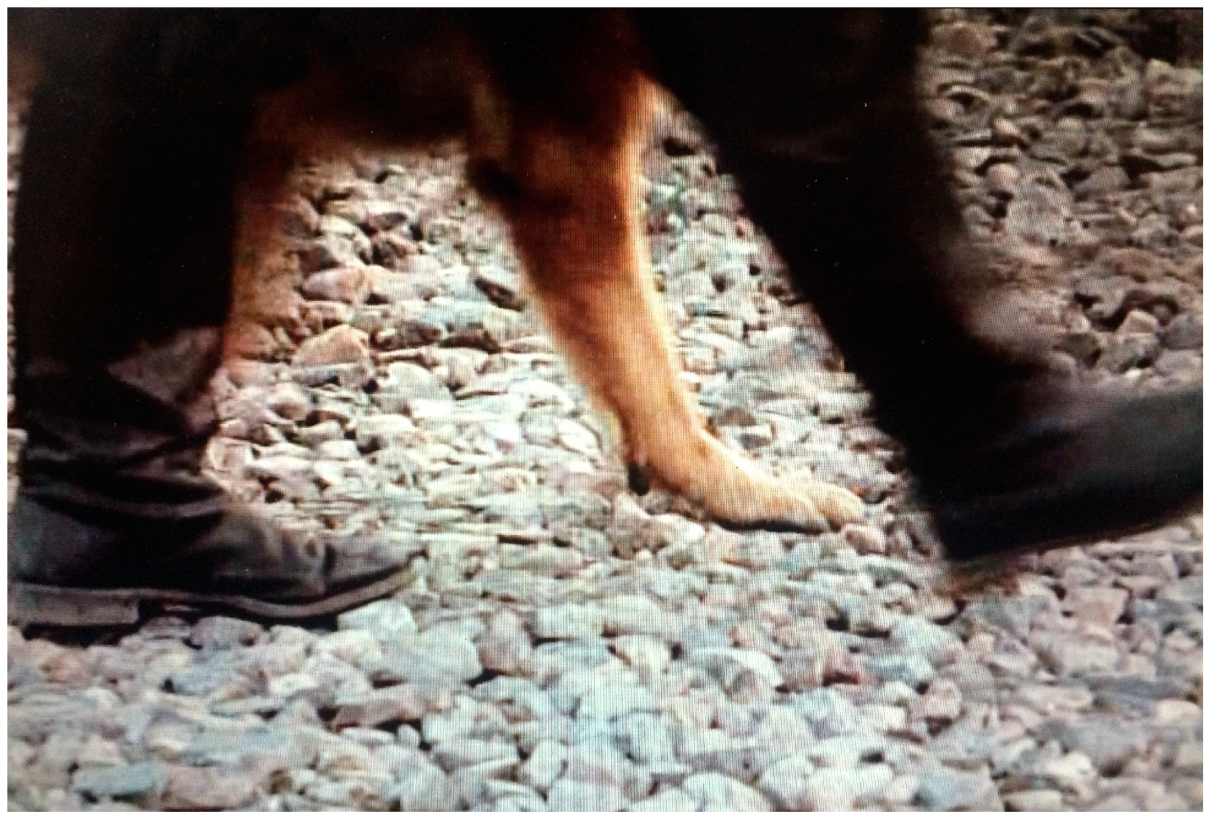 Humanities 06 00093 g005 550