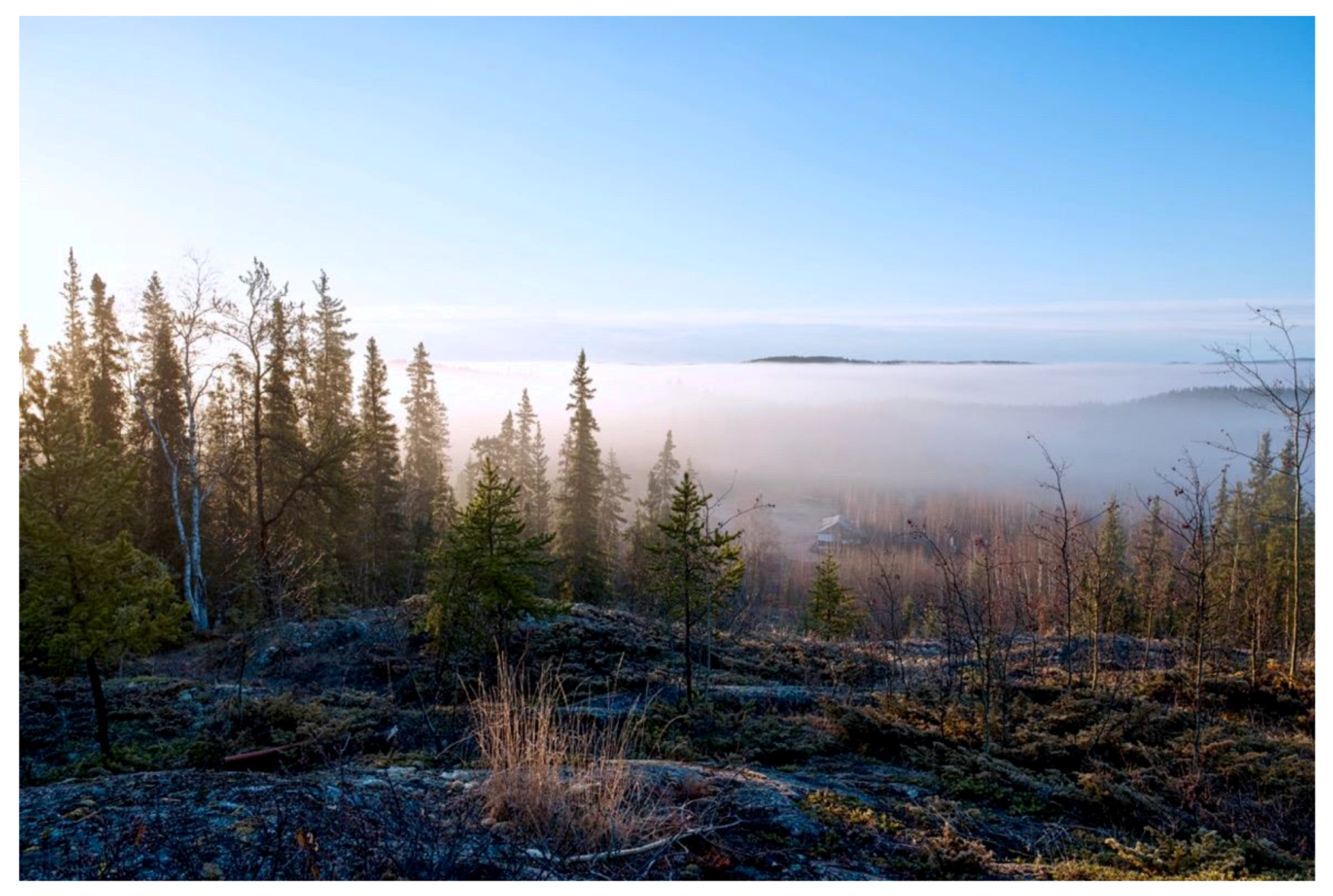 Humanities 07 00005 g012