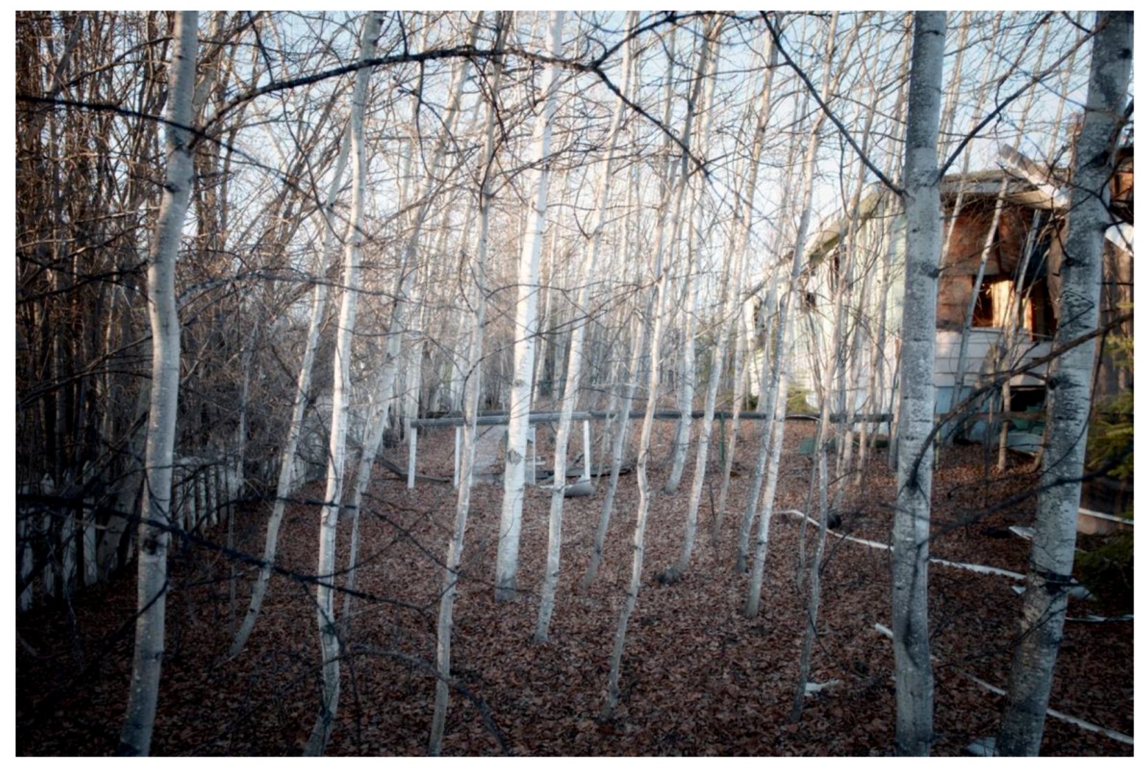 Humanities 07 00005 g019