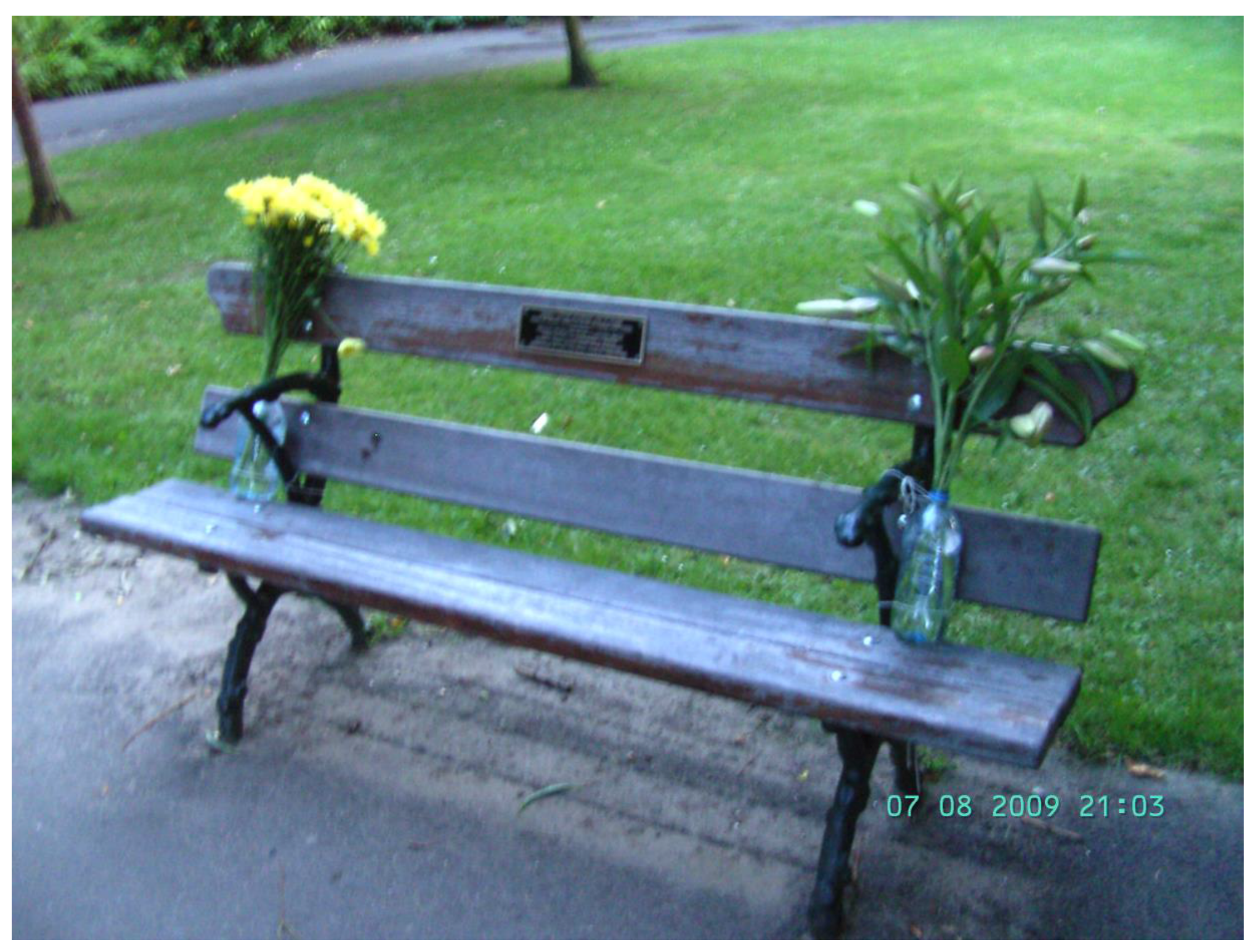 Humanities 07 00018 g007