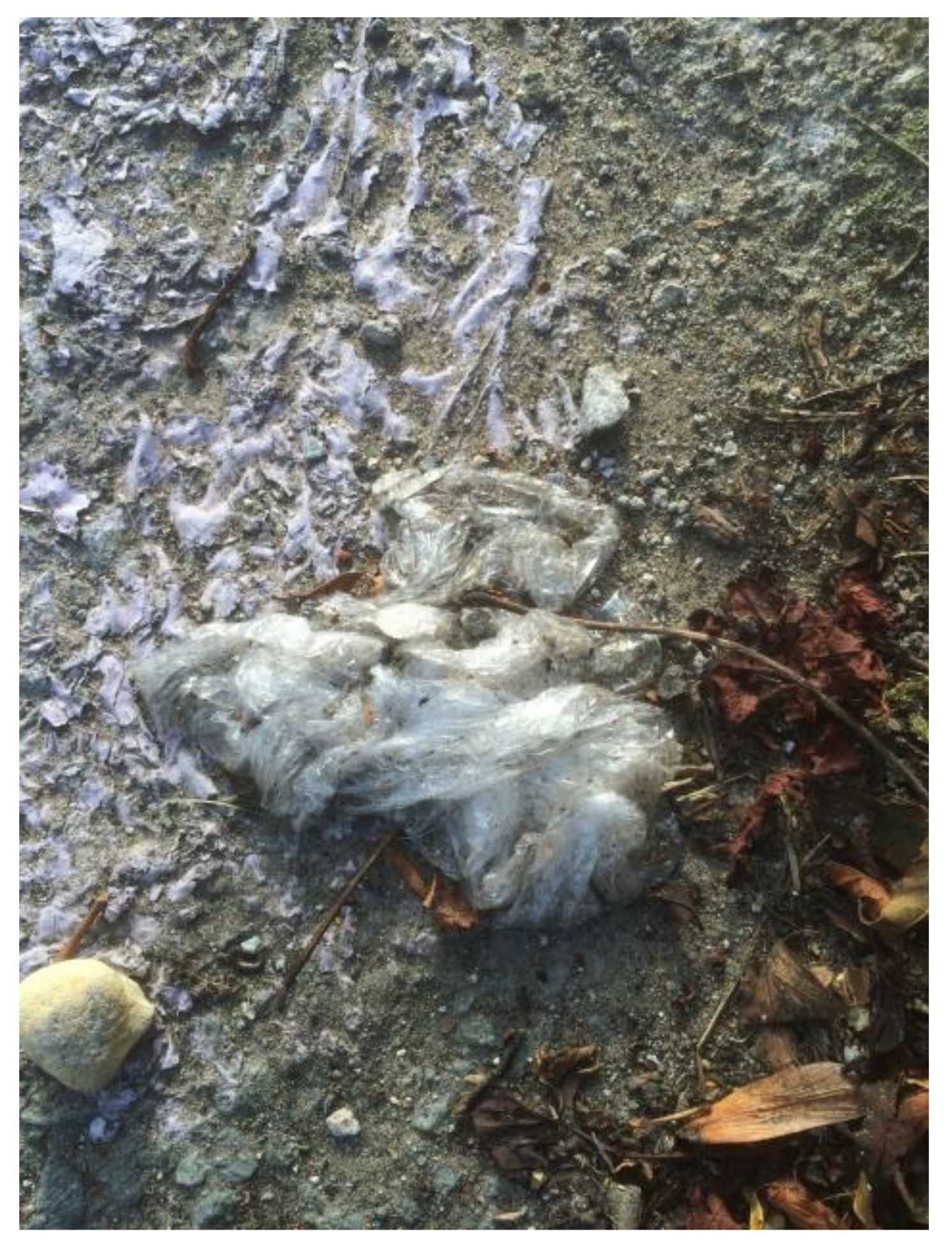 Humanities 07 00033 g005 550