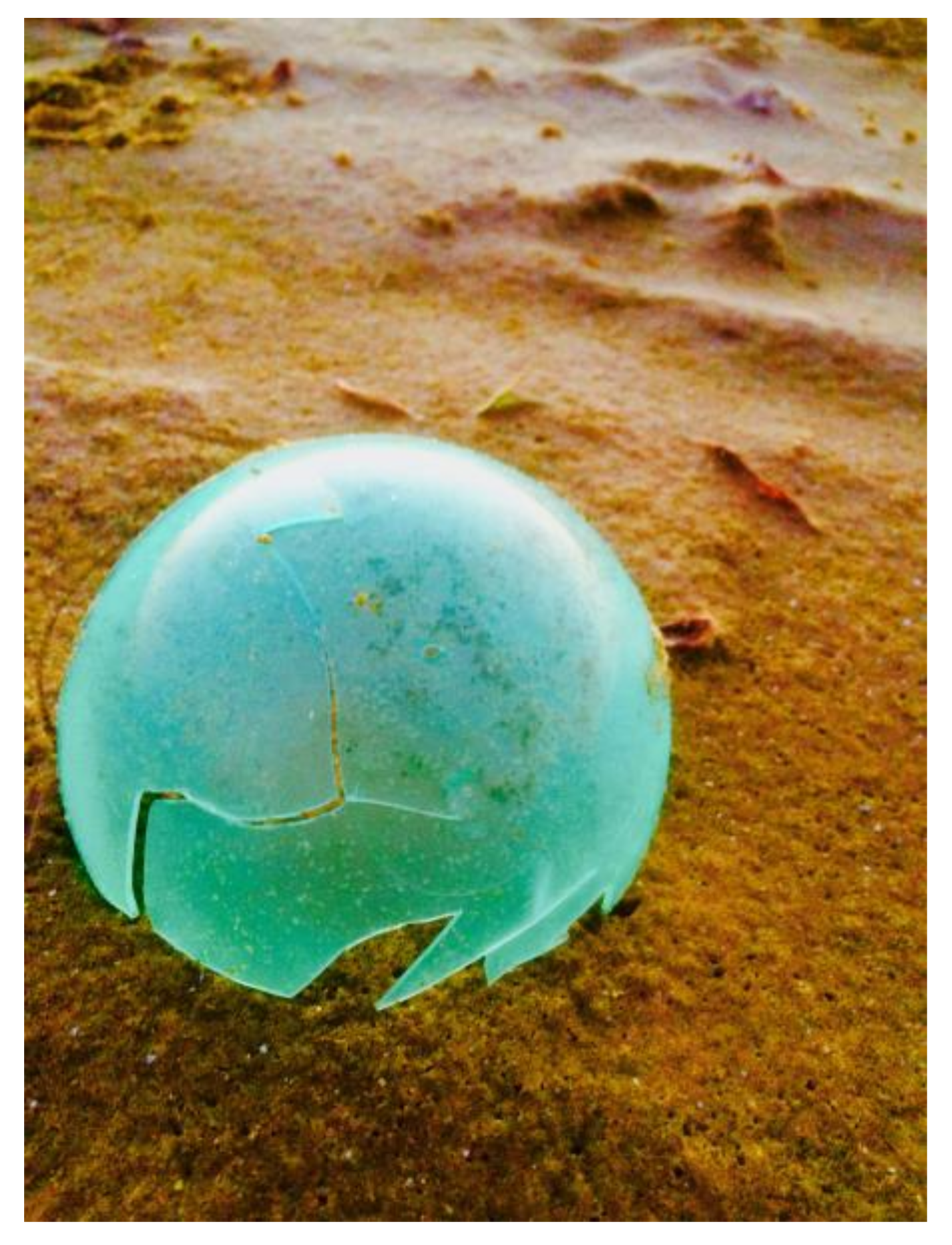 Humanities 07 00033 g006 550