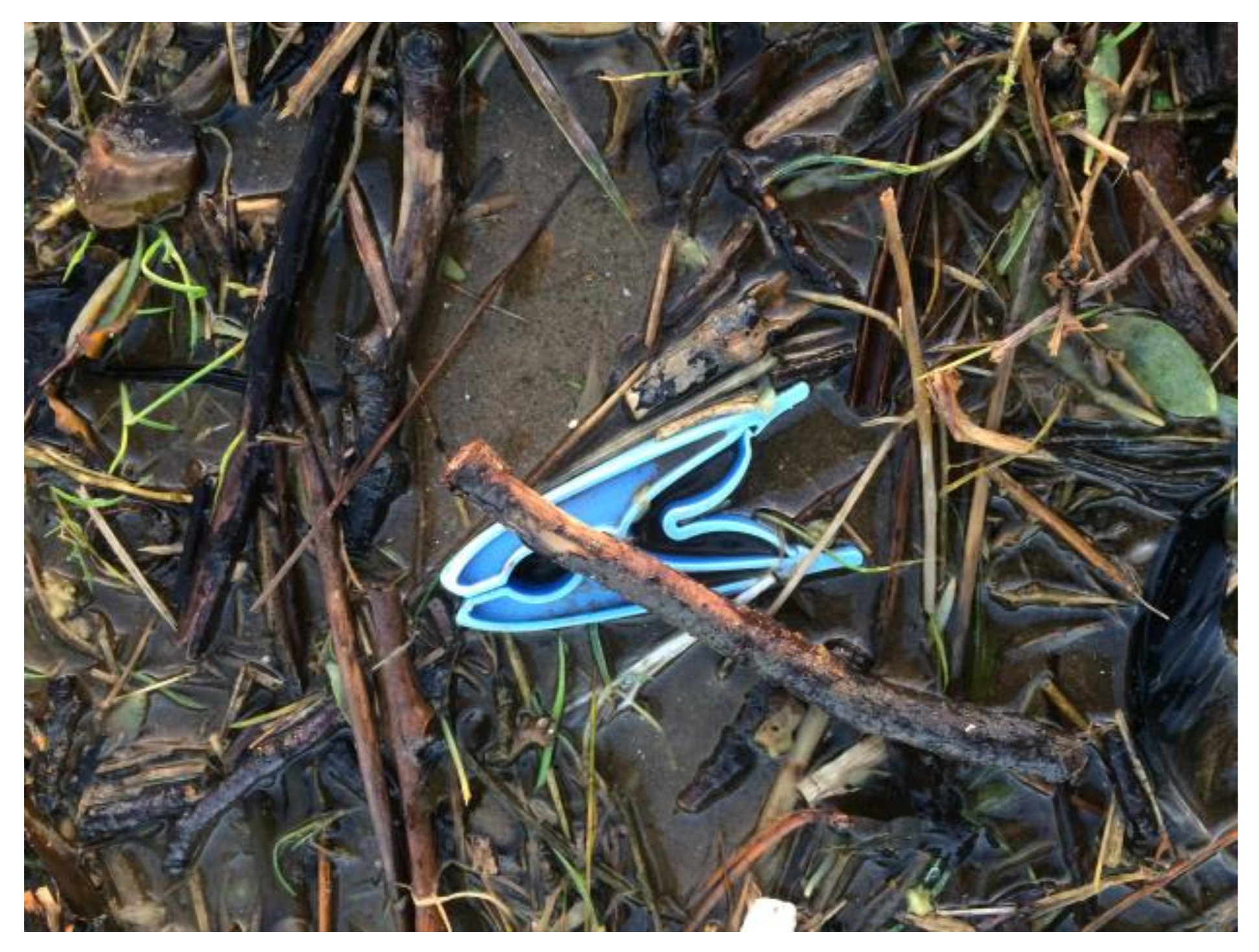 Humanities 07 00033 g007 550