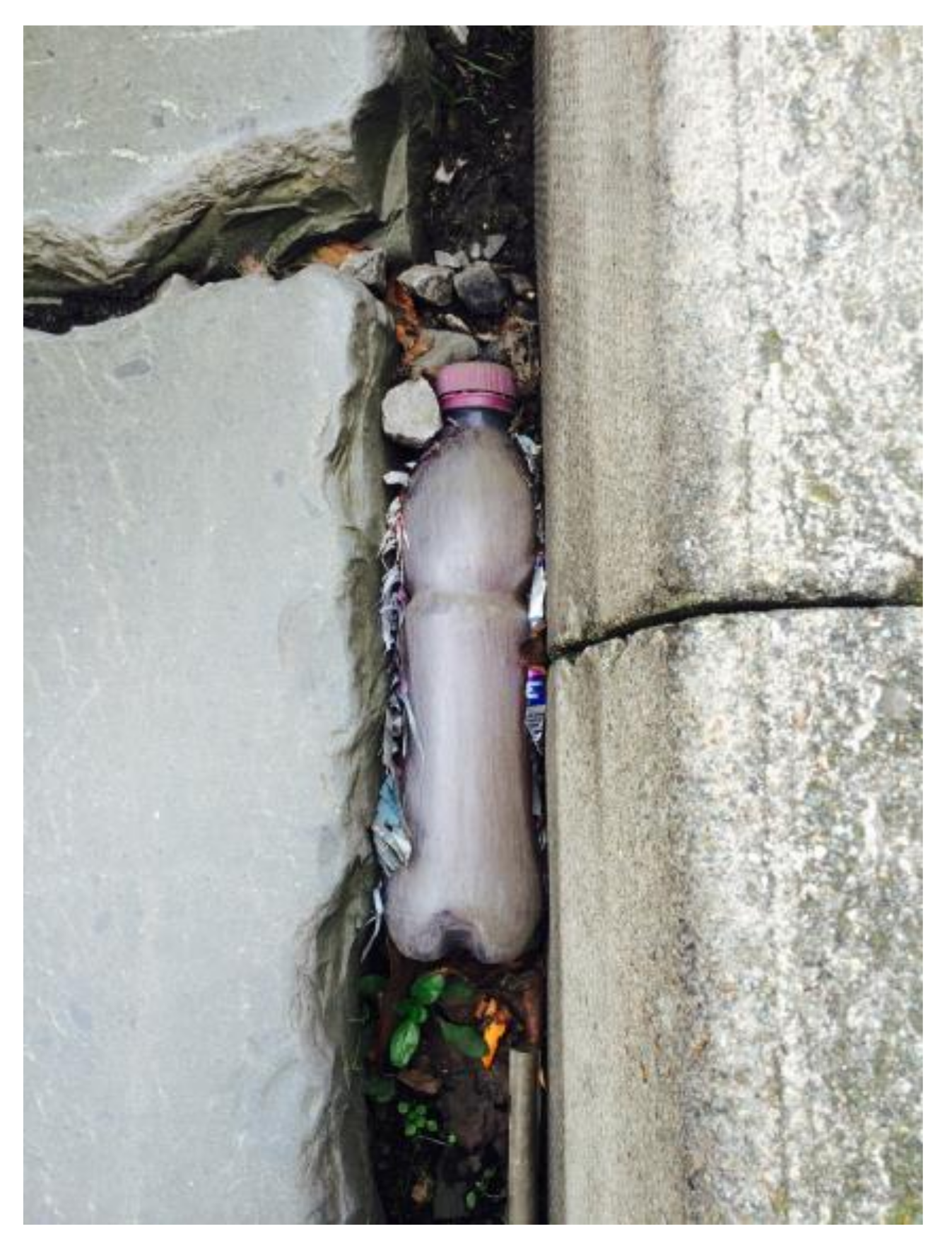 Humanities 07 00033 g008 550