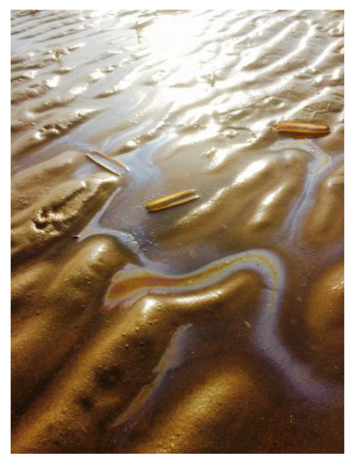 Humanities 07 00033 g010 550