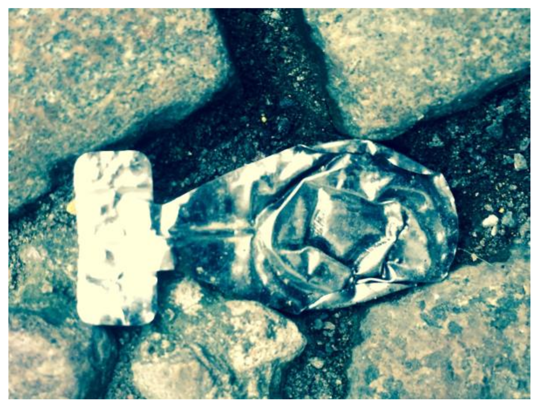 Humanities 07 00033 g015 550