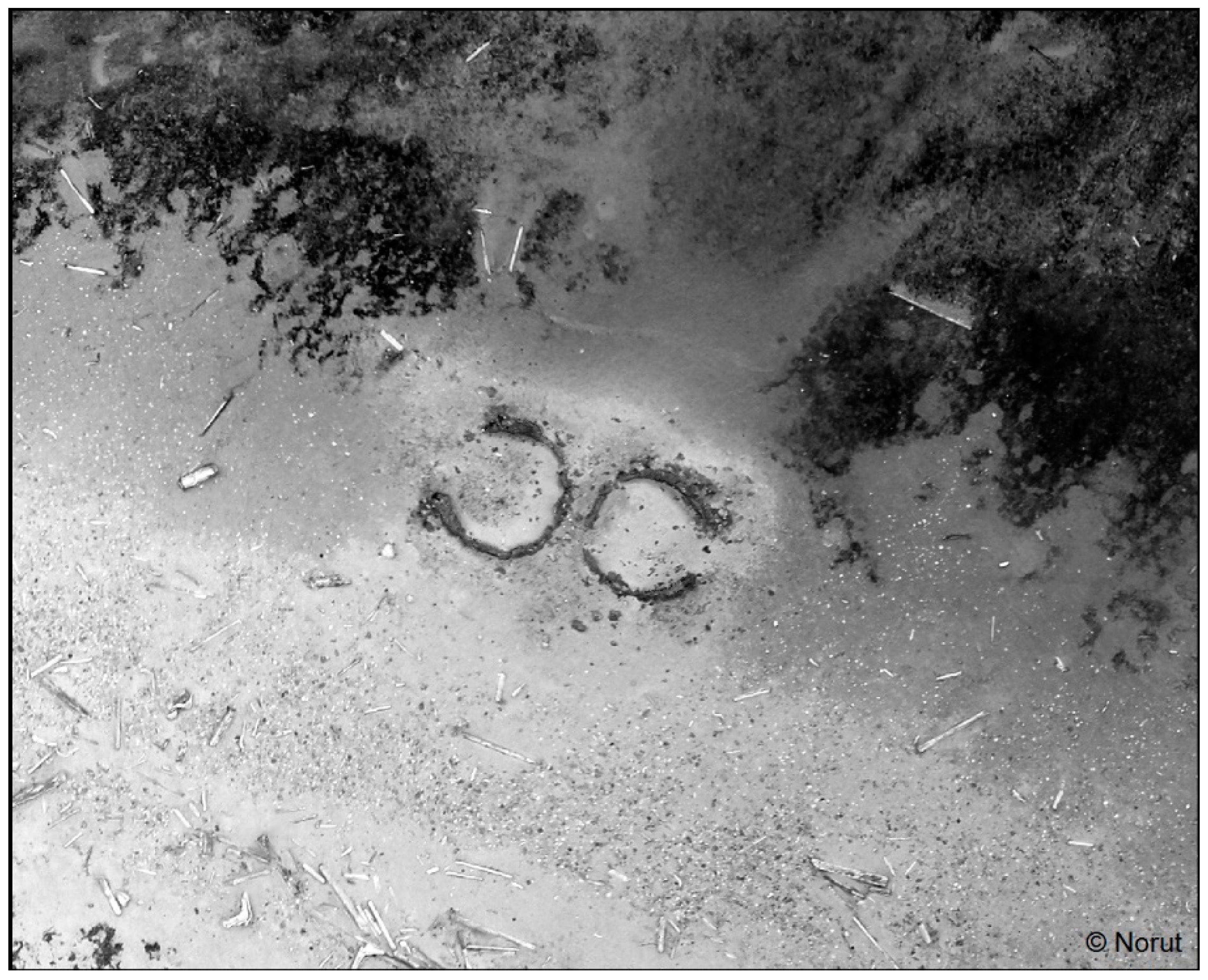 Humanities 08 00021 g003 550