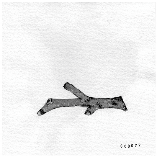 Humanities 08 00079 i005