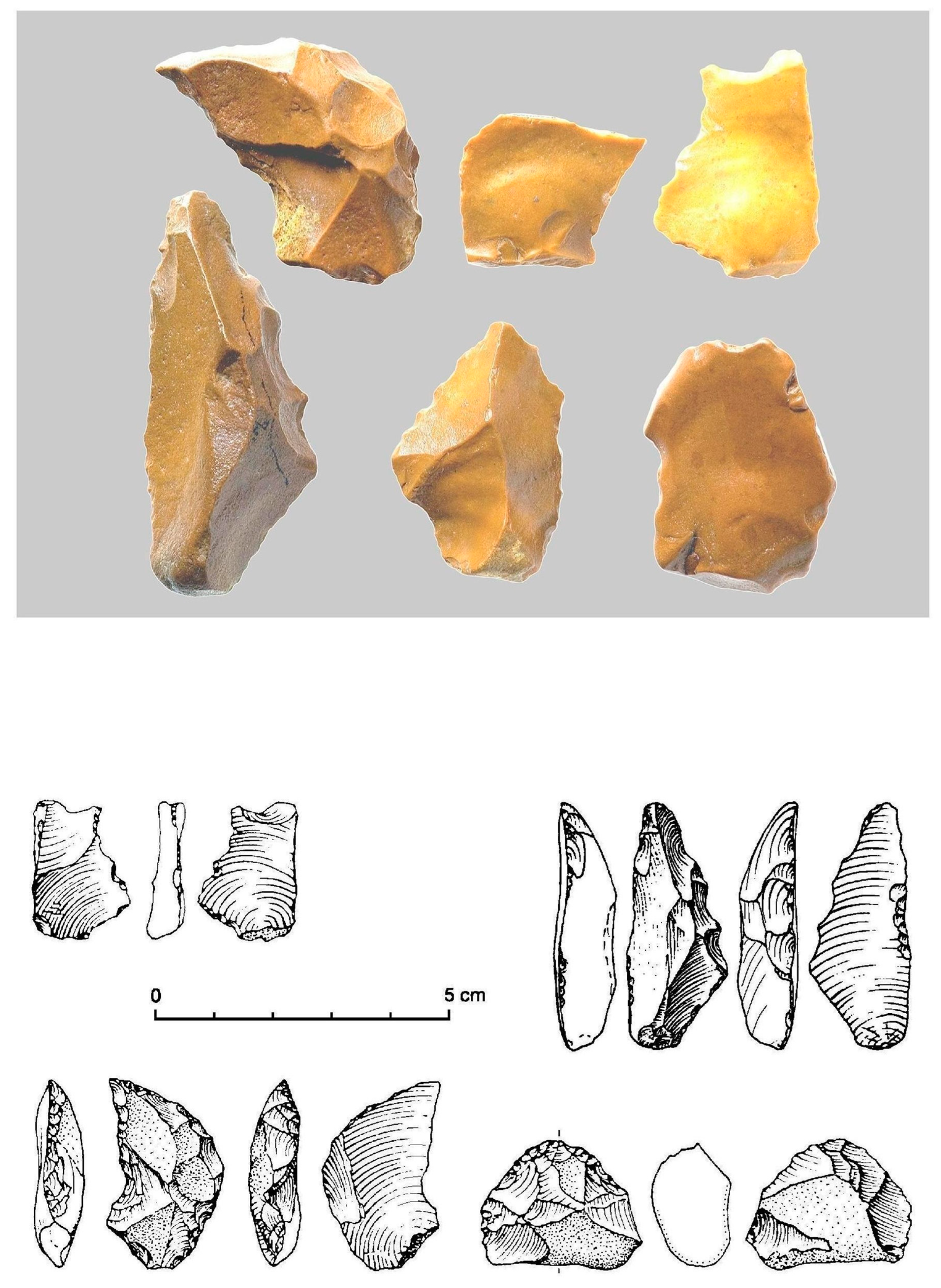 Humanities 08 00129 g017