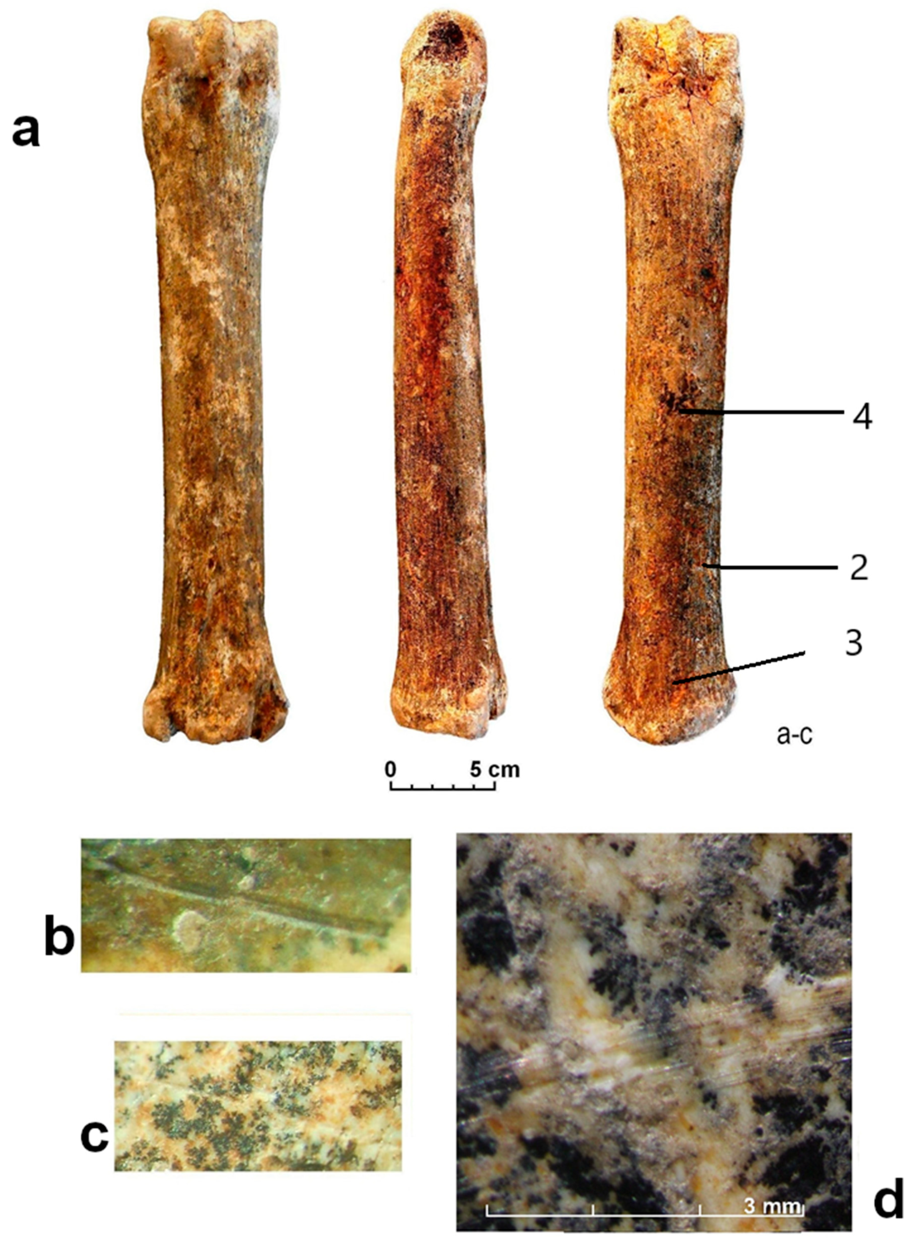 Humanities 08 00129 g021