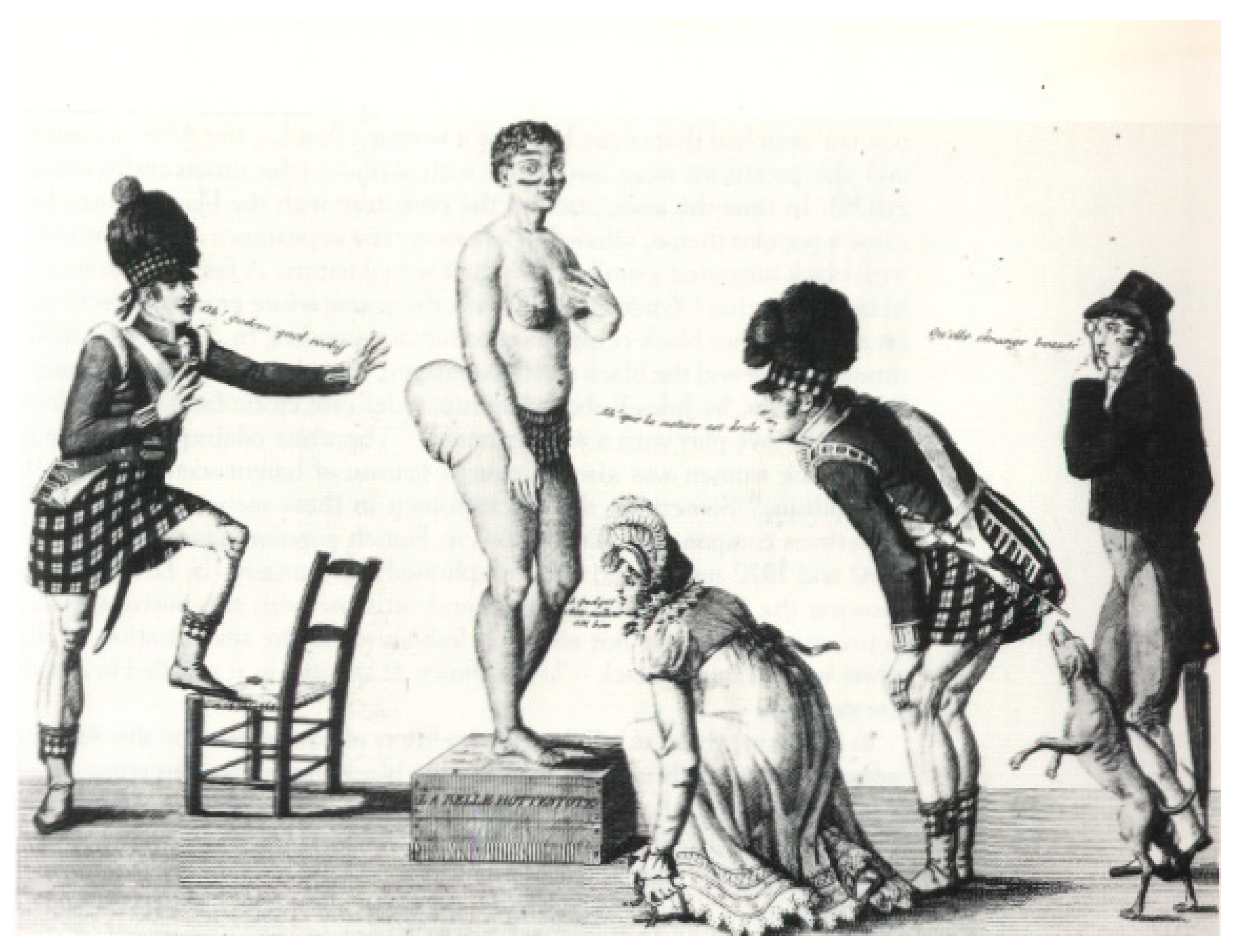 Humanities Free Full-Text Re-Framing Hottentot Liberating Black Female Sexuality from the Mammy/Hottentot Bind picture photo