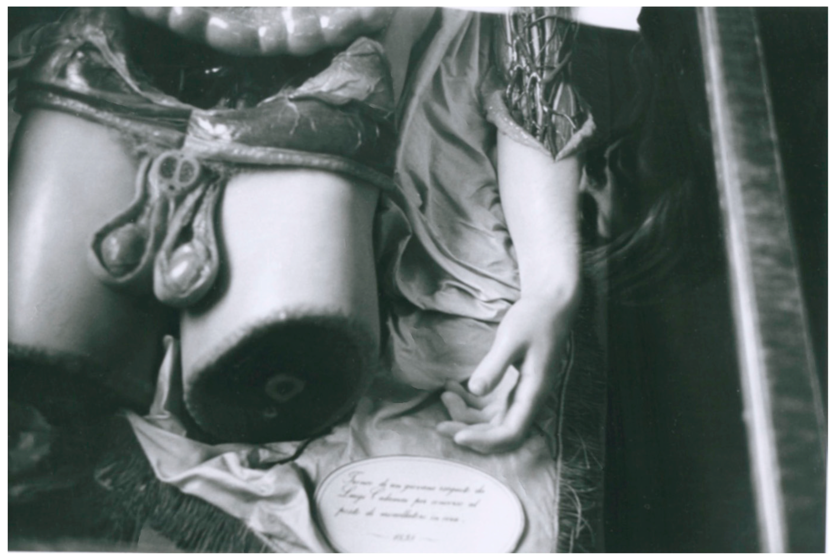 Humanities Free Full-Text Representation of the Self and Disease Writing, Photography and Video in Hervé Guibert