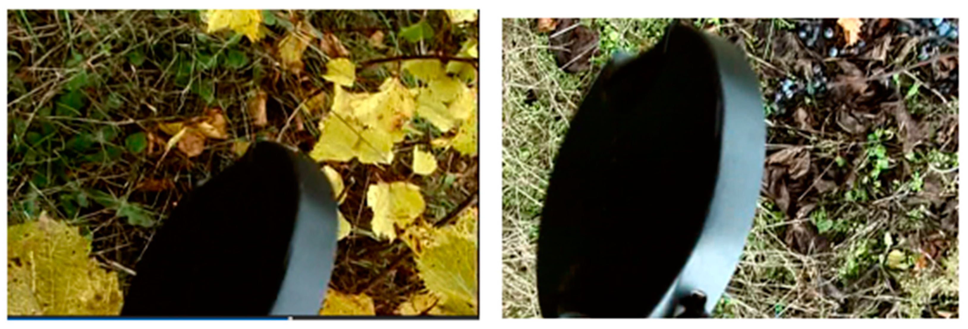 Humanities 09 00114 g013