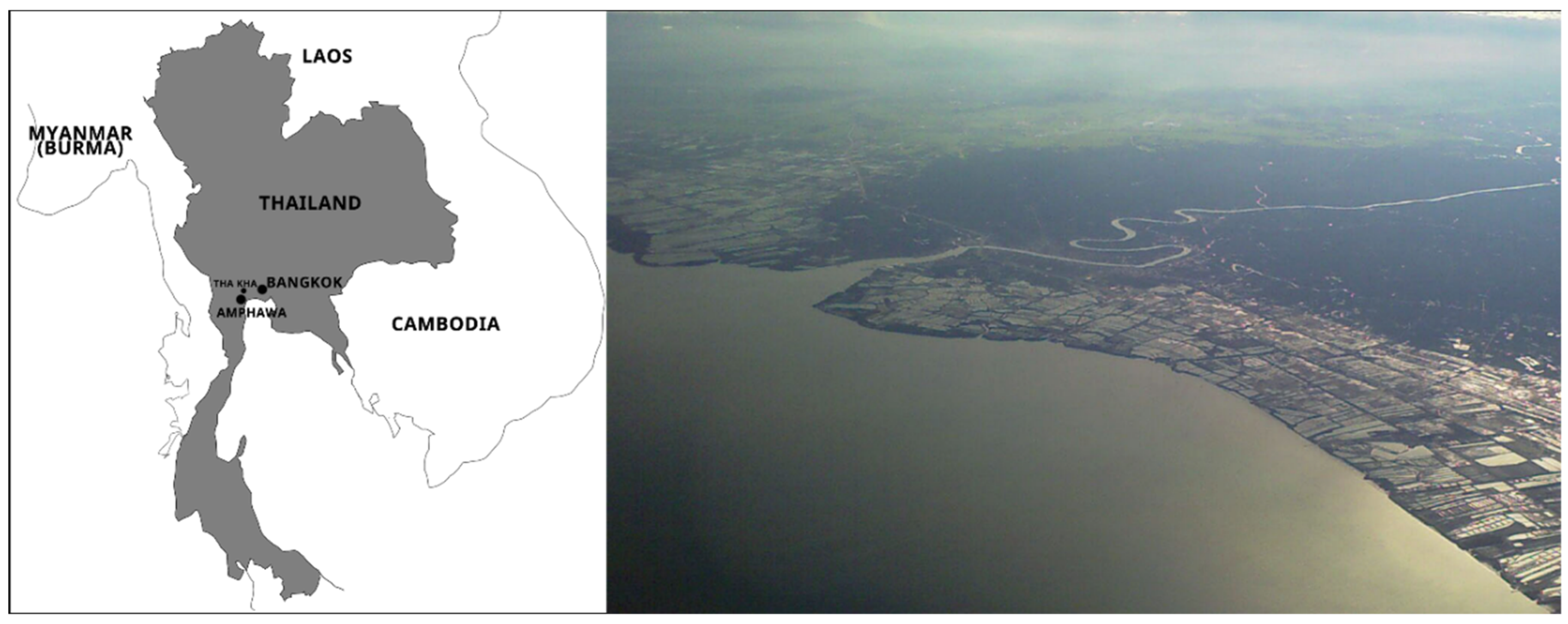 Humanities 09 00134 g003 Humanities 09 00134 g003