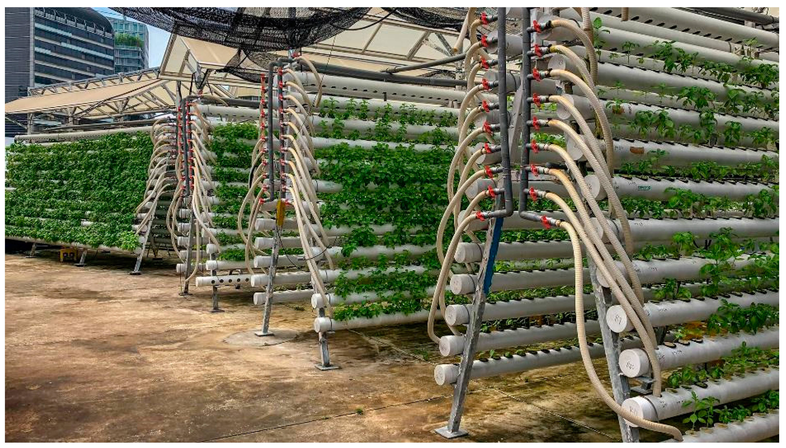 Humanities 10 00027 g003